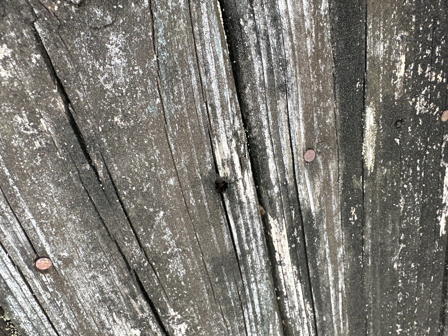 Dock using Wood Sealant by DuraSeal