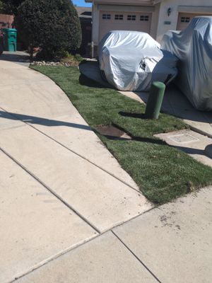 Project in Stockton
