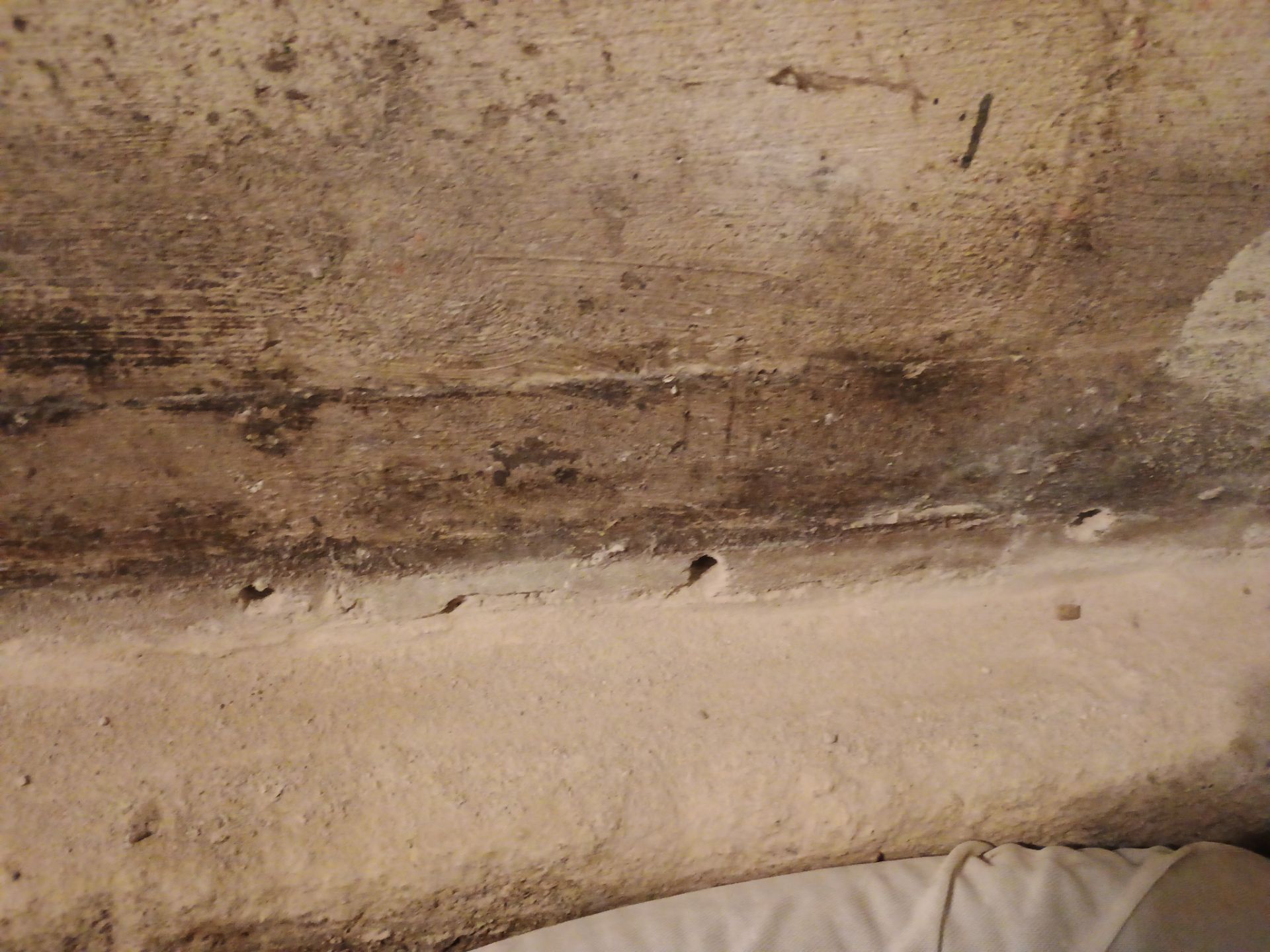Abigail's New Home by Waterproofing Northeast