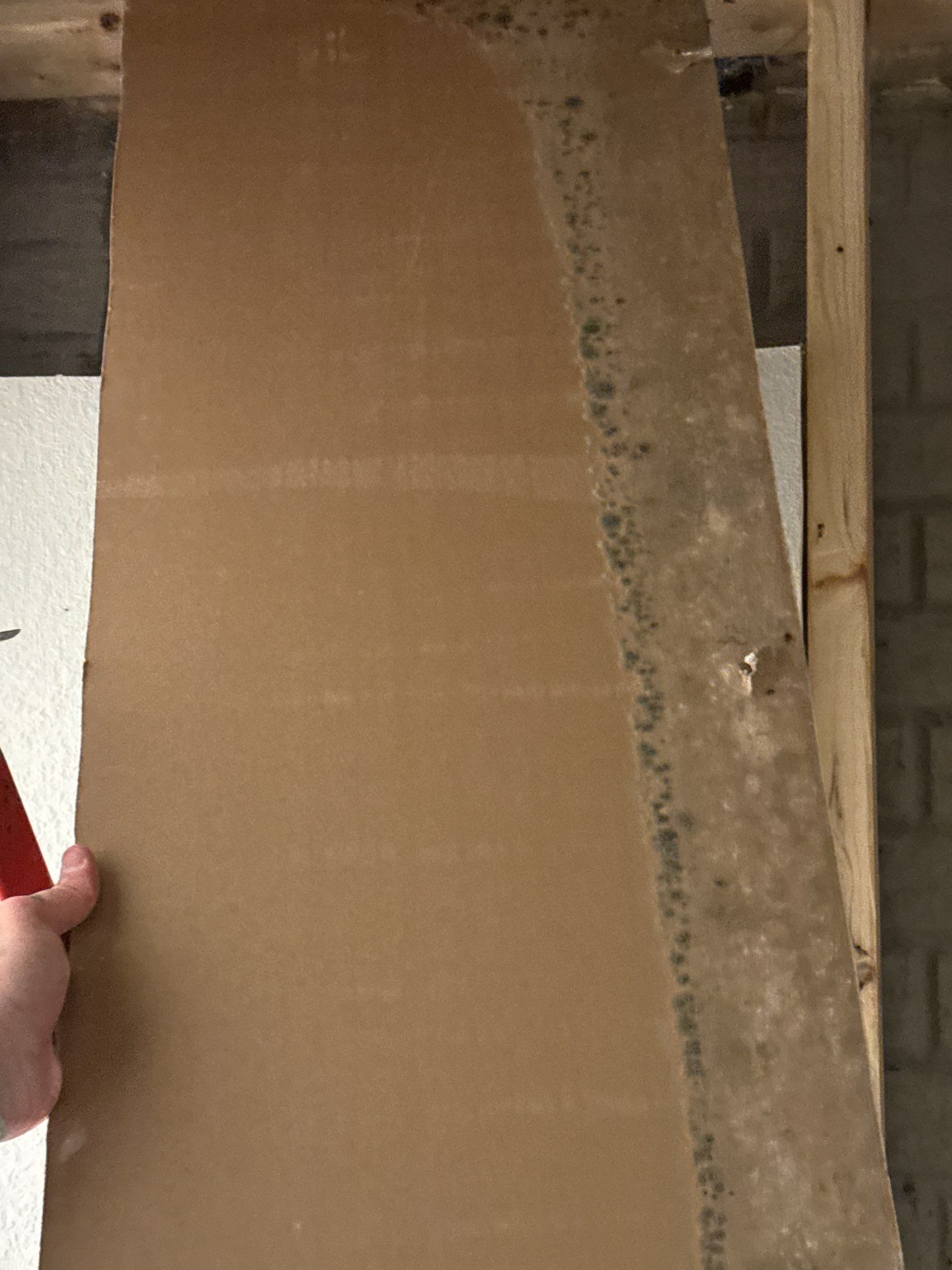 Mold Remediation in Lake Mills by Dry Source Property Restoration 