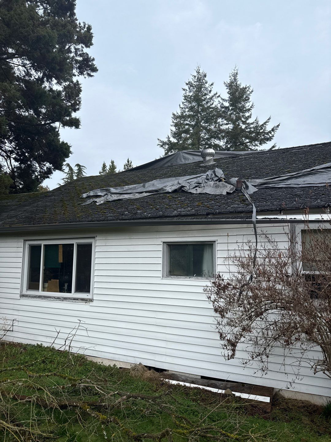 Residential Reroof Shingle by Top Notch Roofing Inc
