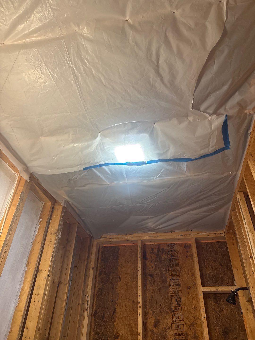 Bathroom and Crawlspace Water Damage and Mold by Healthy Home Solutions