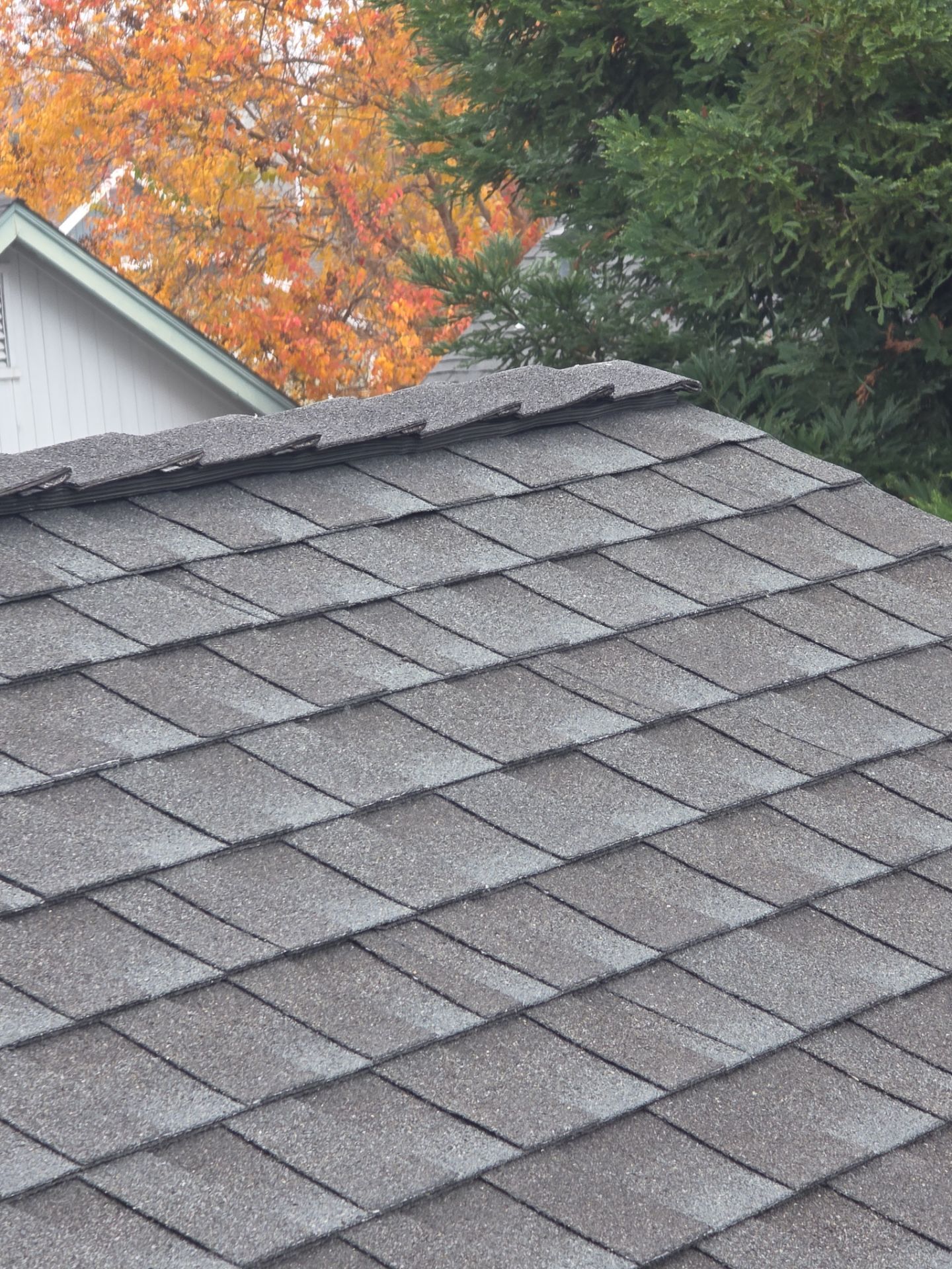 Roof Rejuvenation using Roof Maxx Treatment by Roof Maxx of Folsom