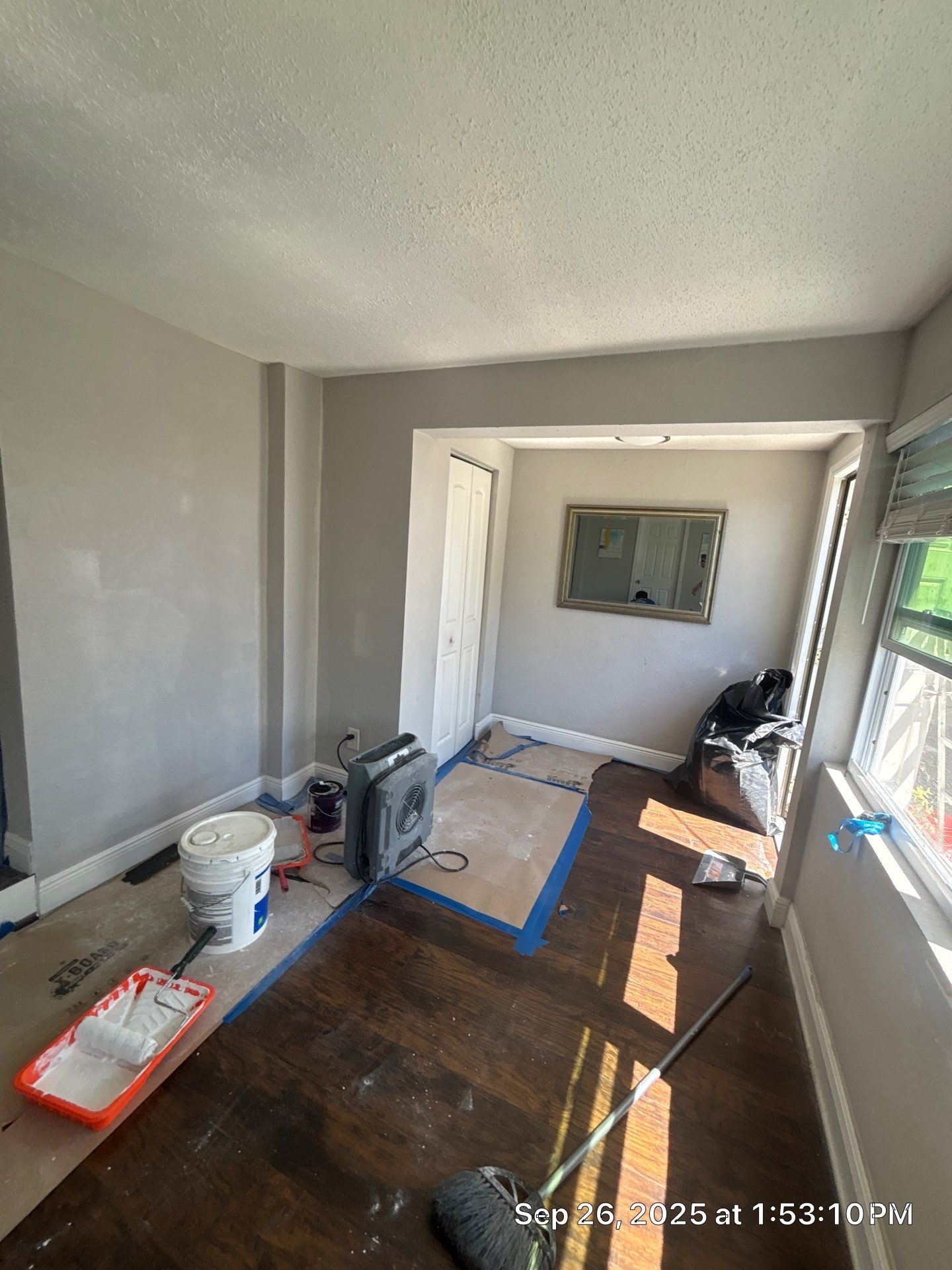 Mold Inspection & Mold Removal In St. Petersburg, FL by Ampm Restoration Services