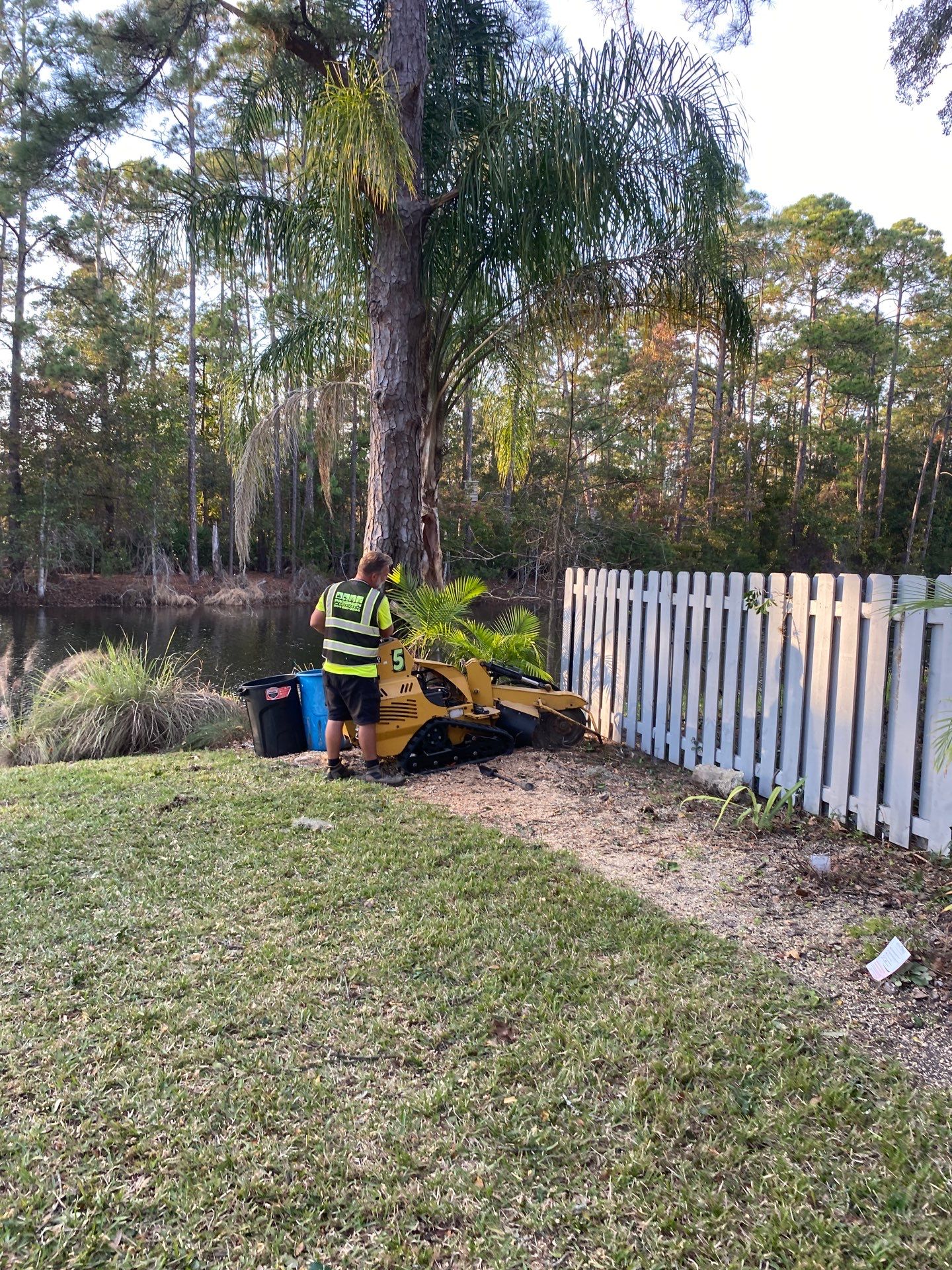 Deerwood Resident | Tree Trimming & Removal by ProGreen Services