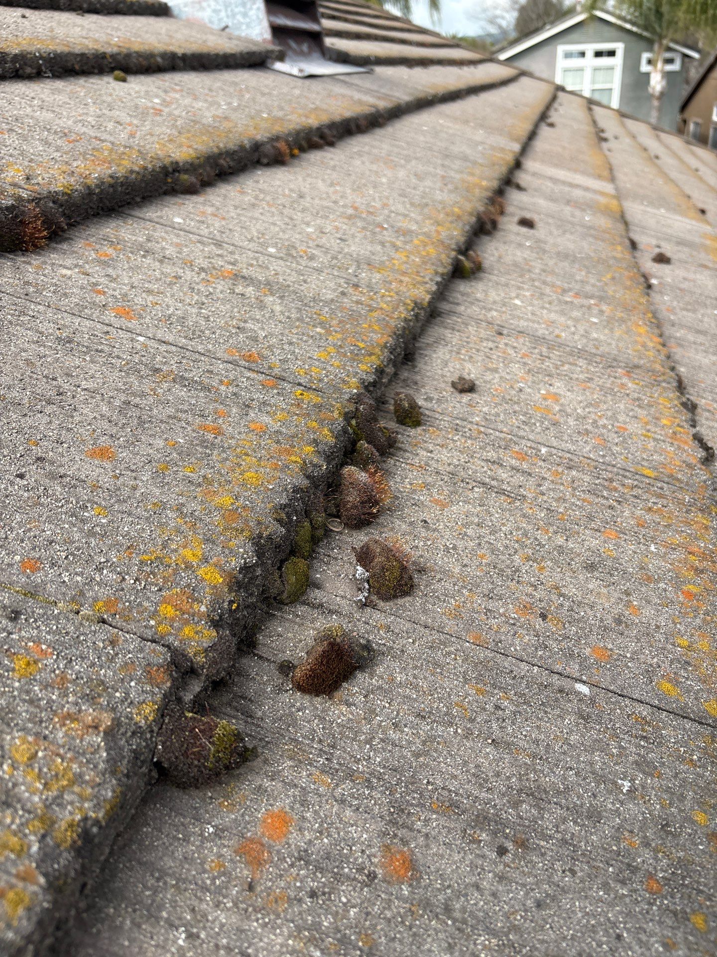Moss Removal by Top Elevation