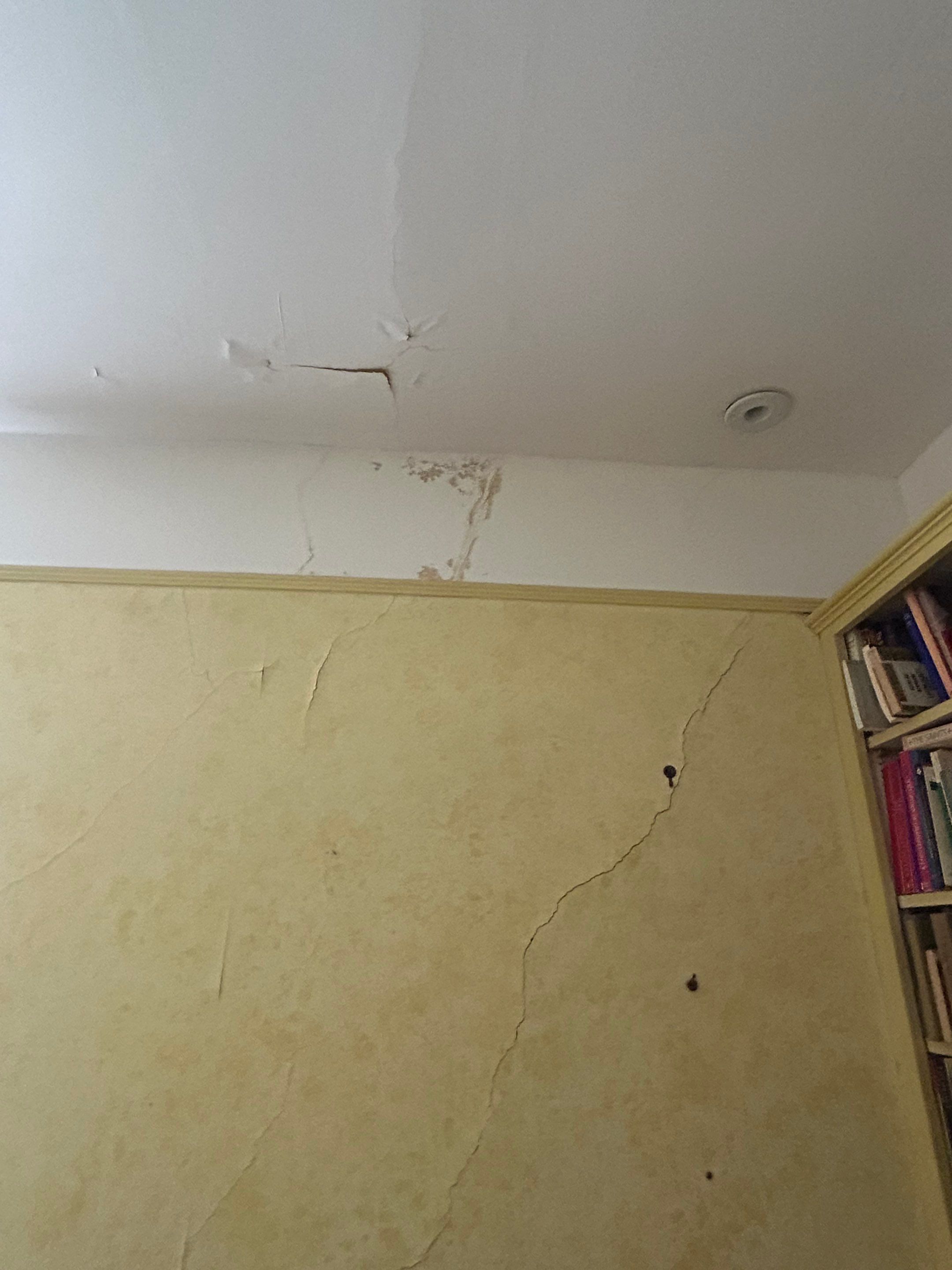 Alexandra: Residential Metal Roofing  by RM Banning, Inc.