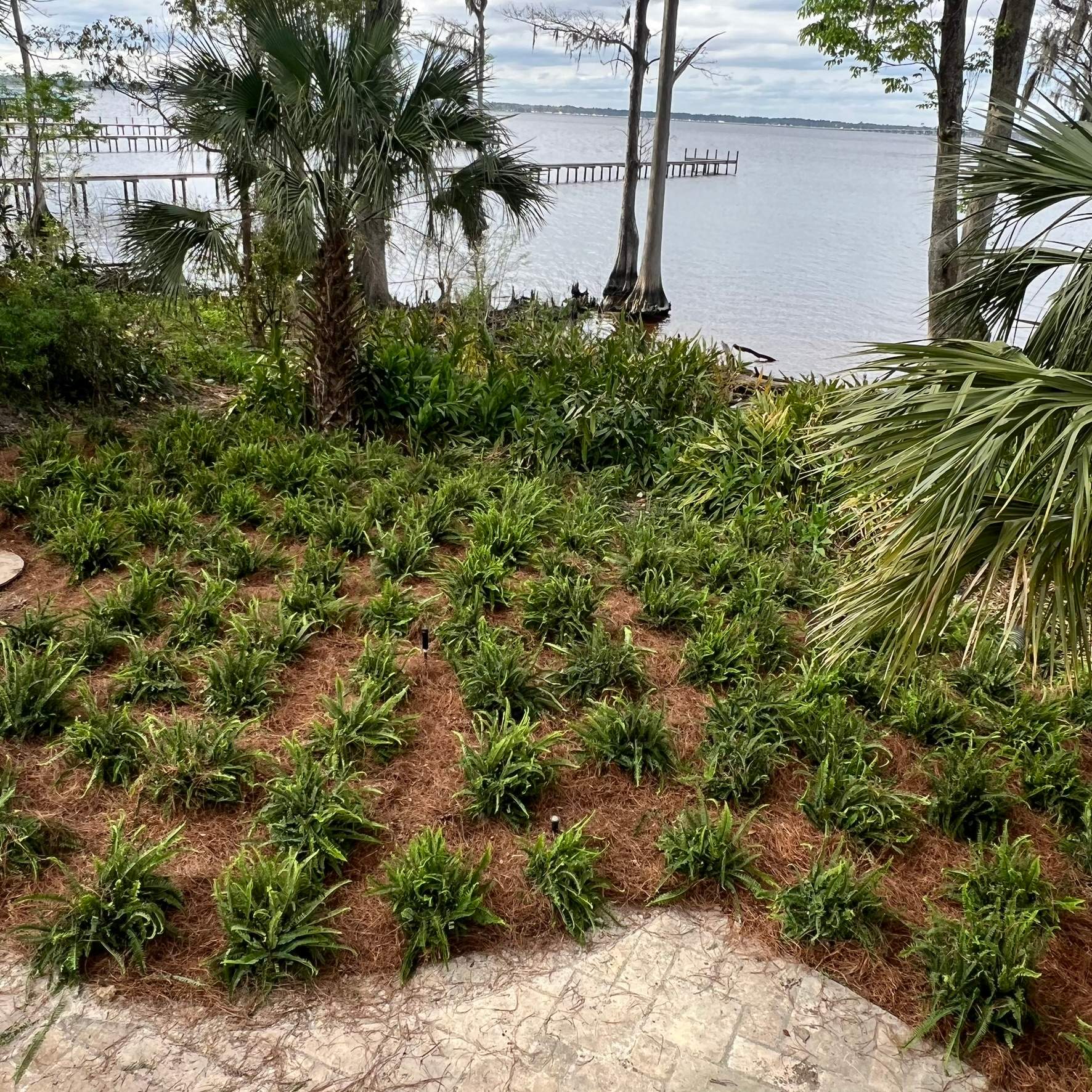 Landscape Install | Residence by ProGreen Services