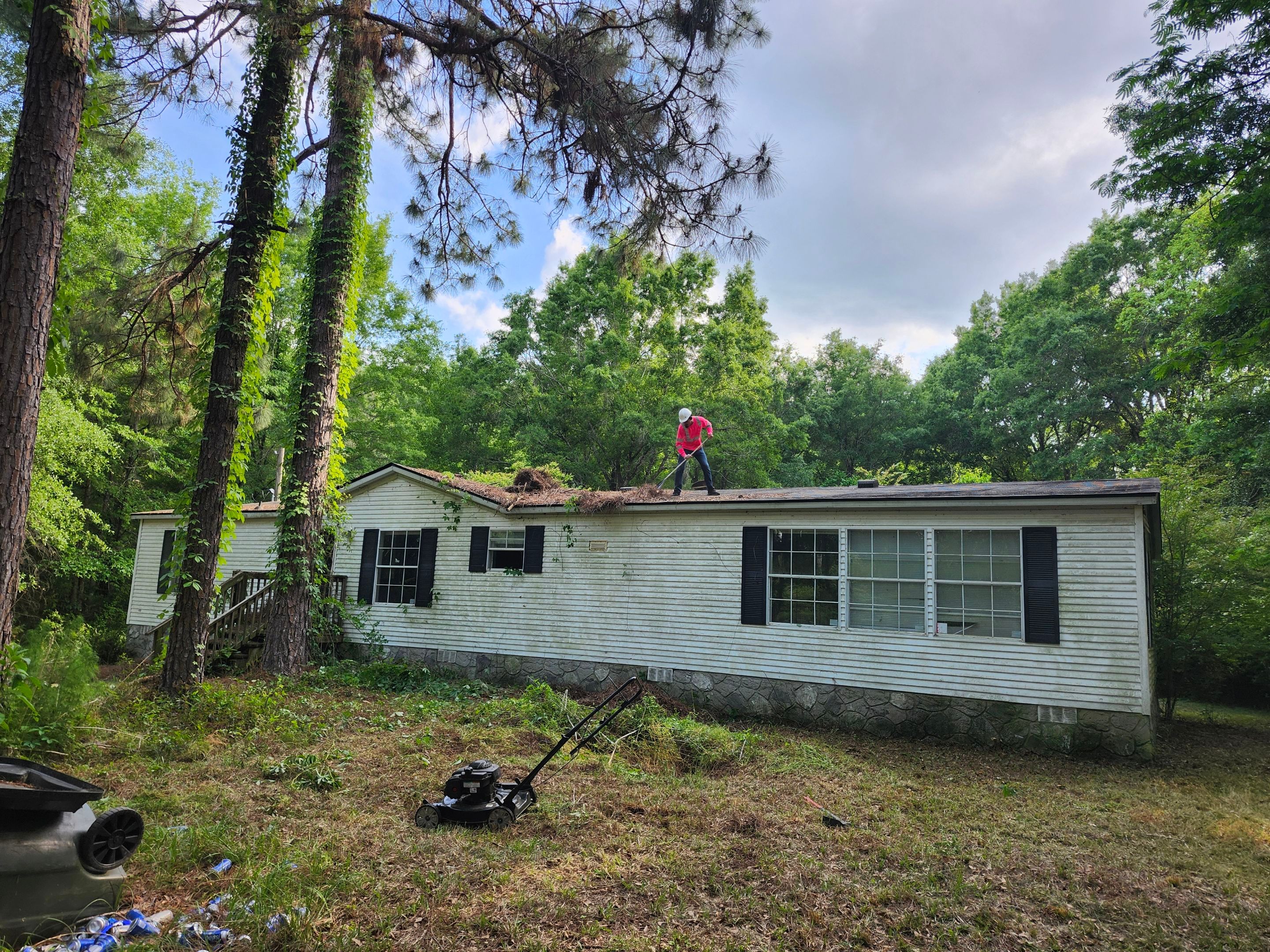 Exterior Clearing - tree trimming - grass cut by Swift Signings and Services LLC