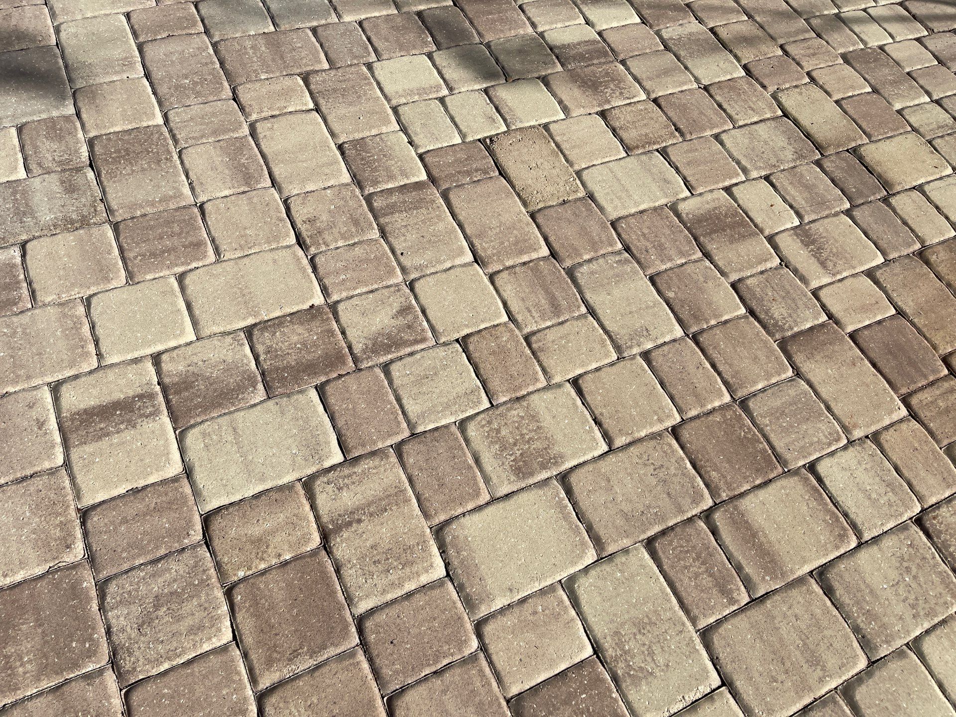 Pool Pavers using TopSeal and PolySand by DuraSeal