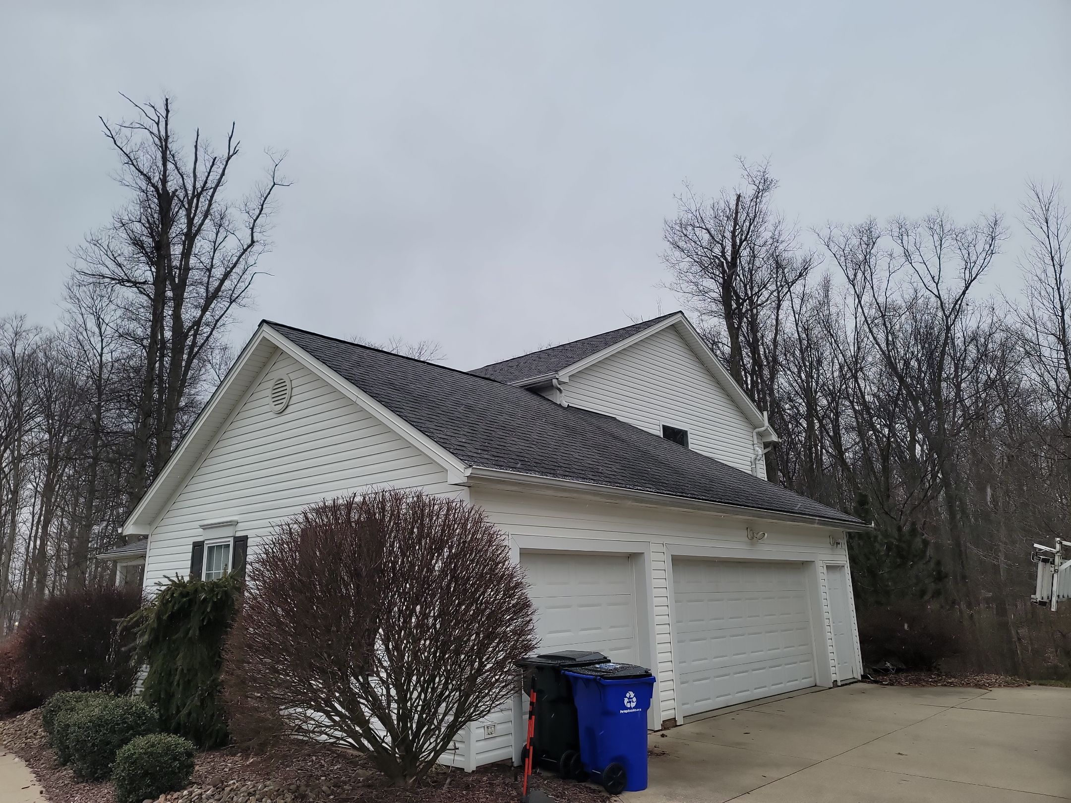 Atlas Pinnacle, Color, Black Shadow, Drip Edge, Color, White by Eagle Eye Roofing