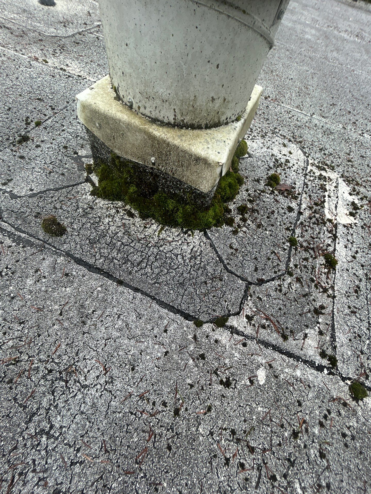 Project in Kirkland by Connolly Construction Company