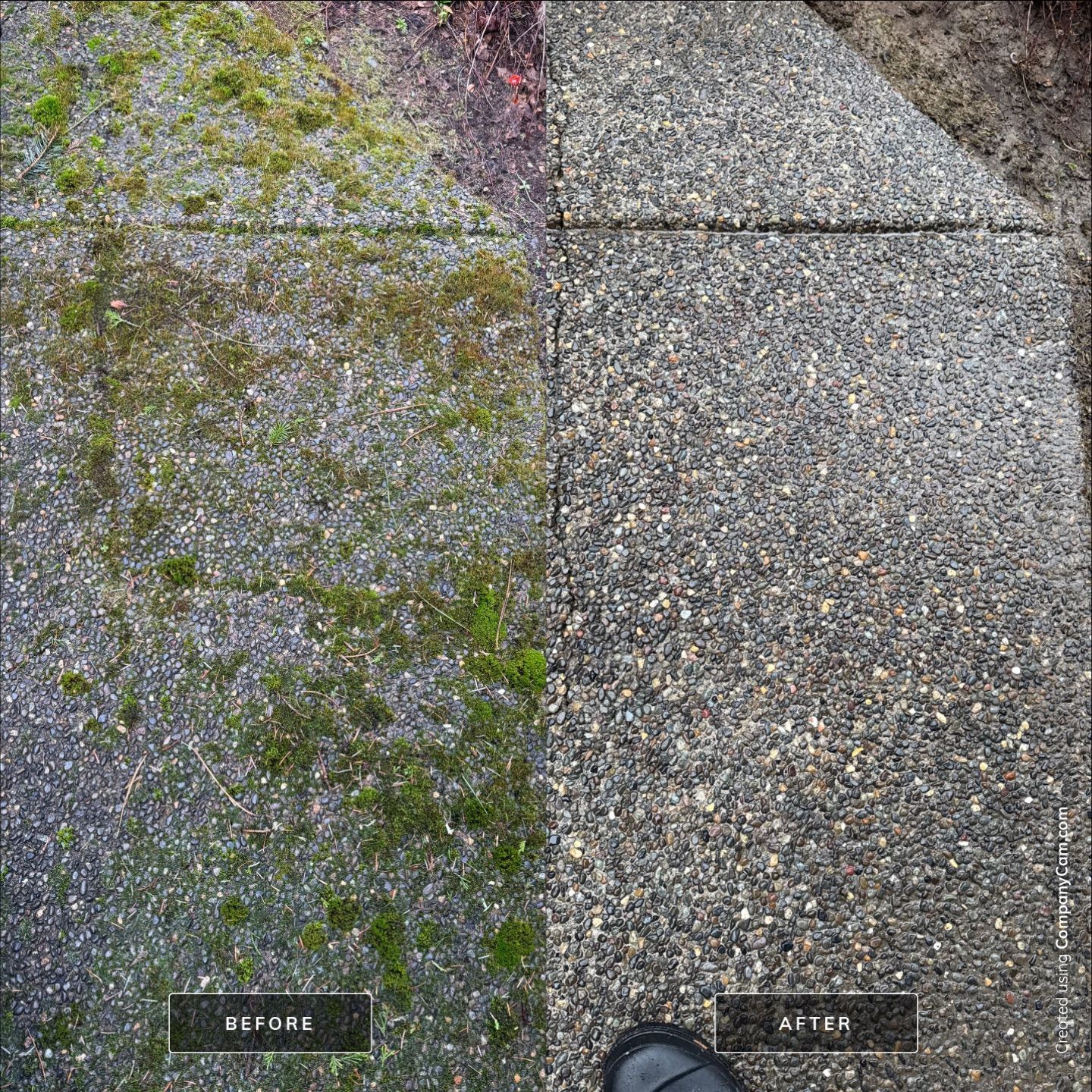 Home Renewal - Roof & Concrete Cleaning in Astoria by Rolling Suds of Oregon Coast – Salem