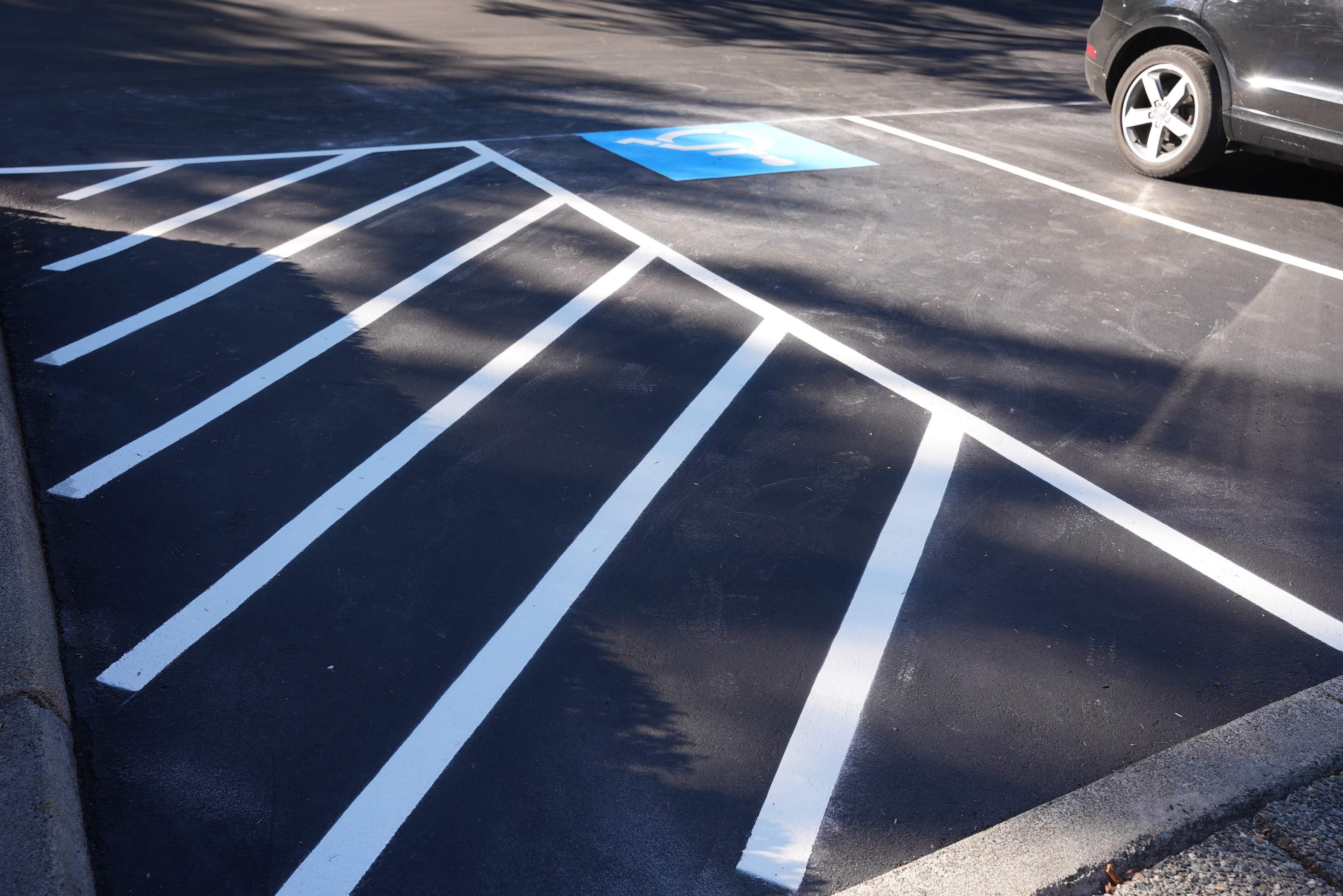 Buchan | Business Parking Lot Repair & Striping by Jireh Asphalt & Concrete Inc 