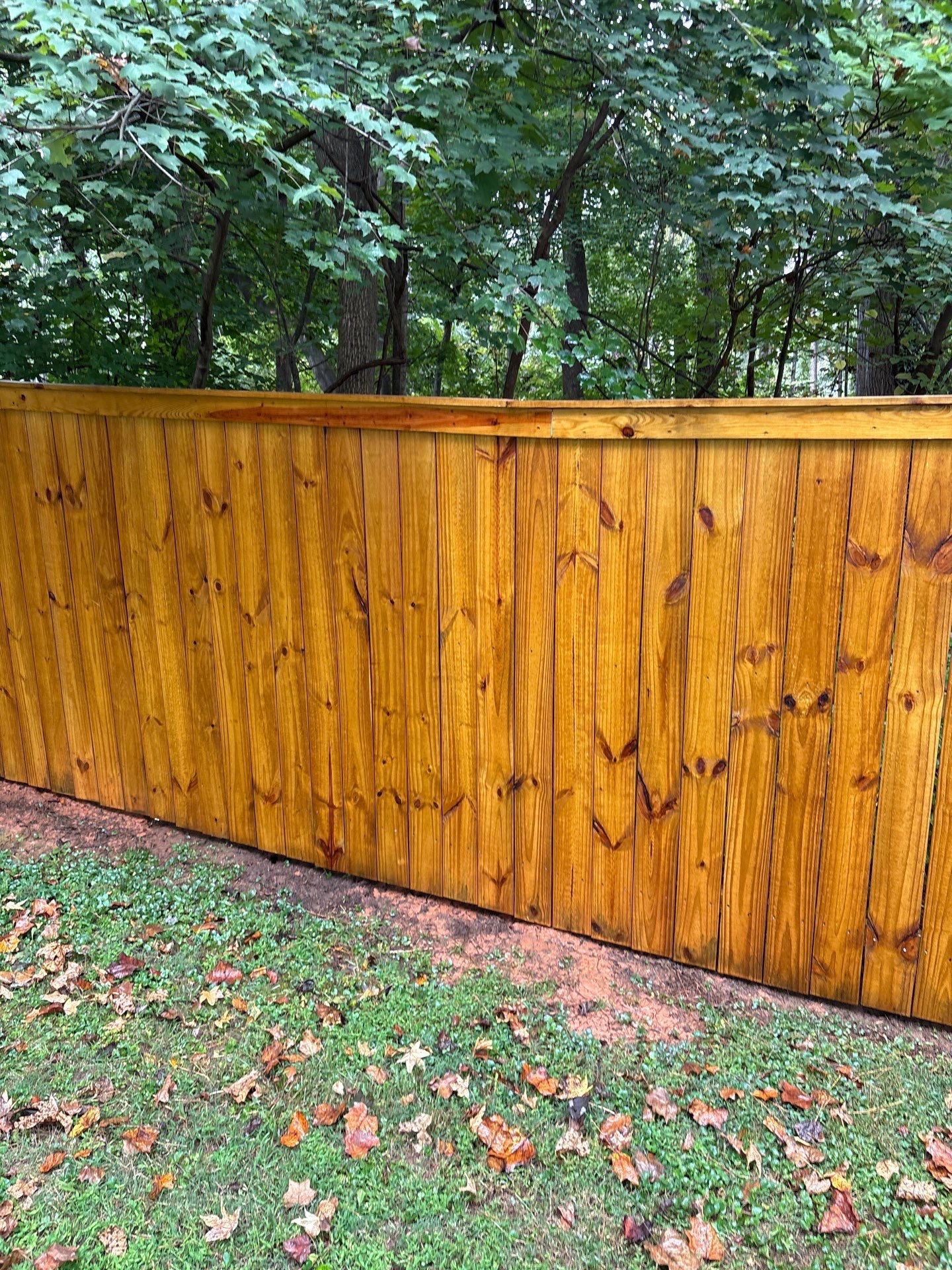 Wood Fence using Wood Sealant by DuraSeal