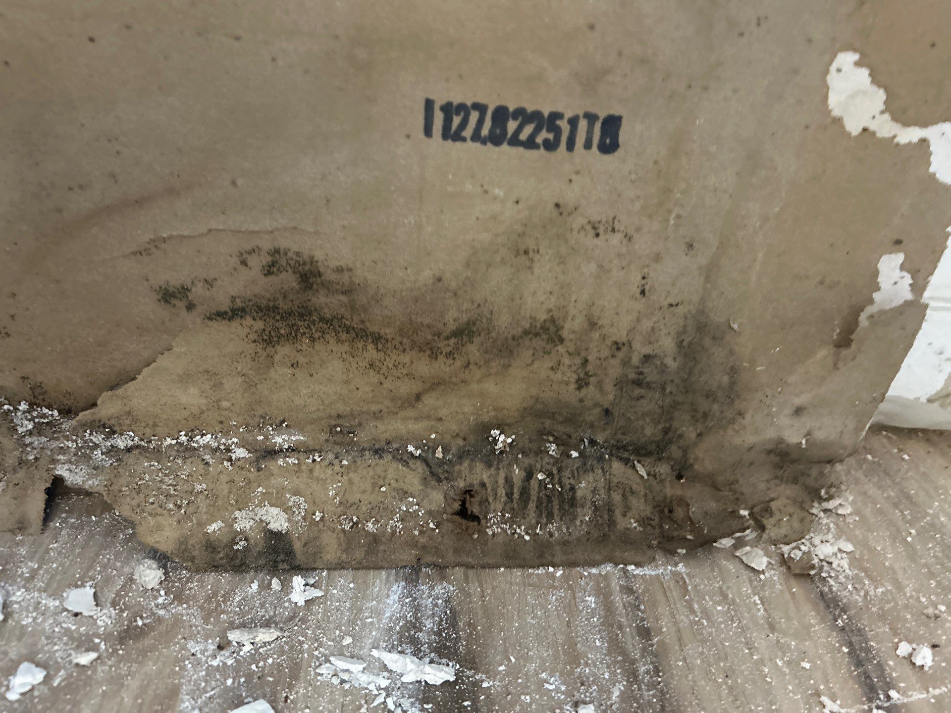 Commercial Water Damage Restoration by Ampm Restoration Services