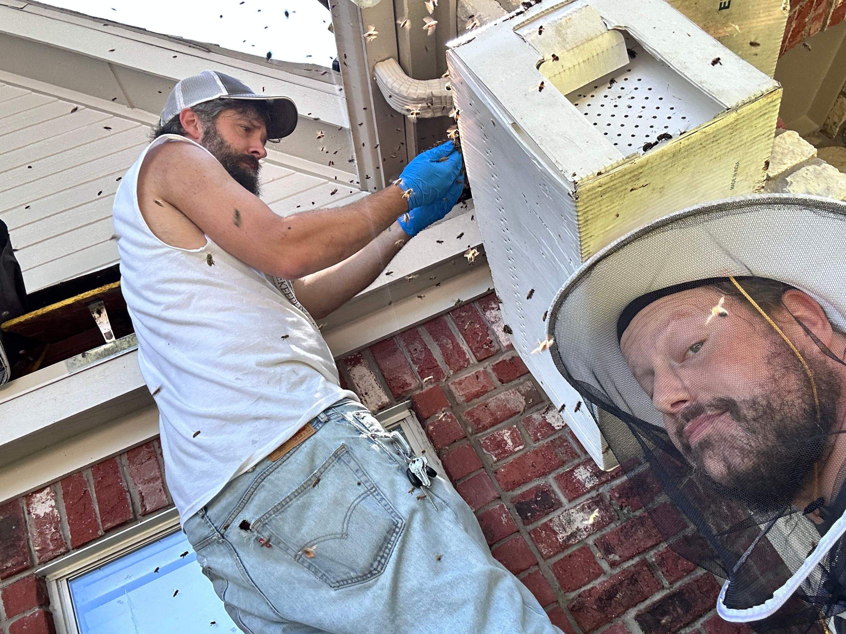 Dormer Window by Rockwall Honey Bee Company