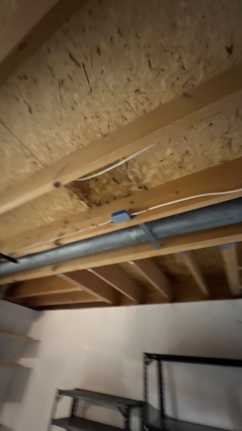 Mold Damage by Accountable Home Services