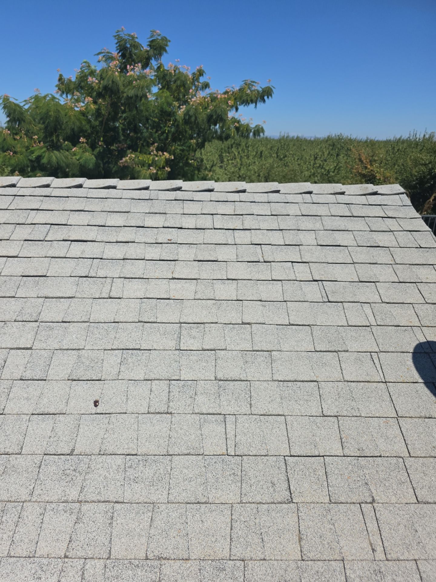 Roof Rejuvenation using Roof Maxx Treatment by Roof Maxx of Folsom