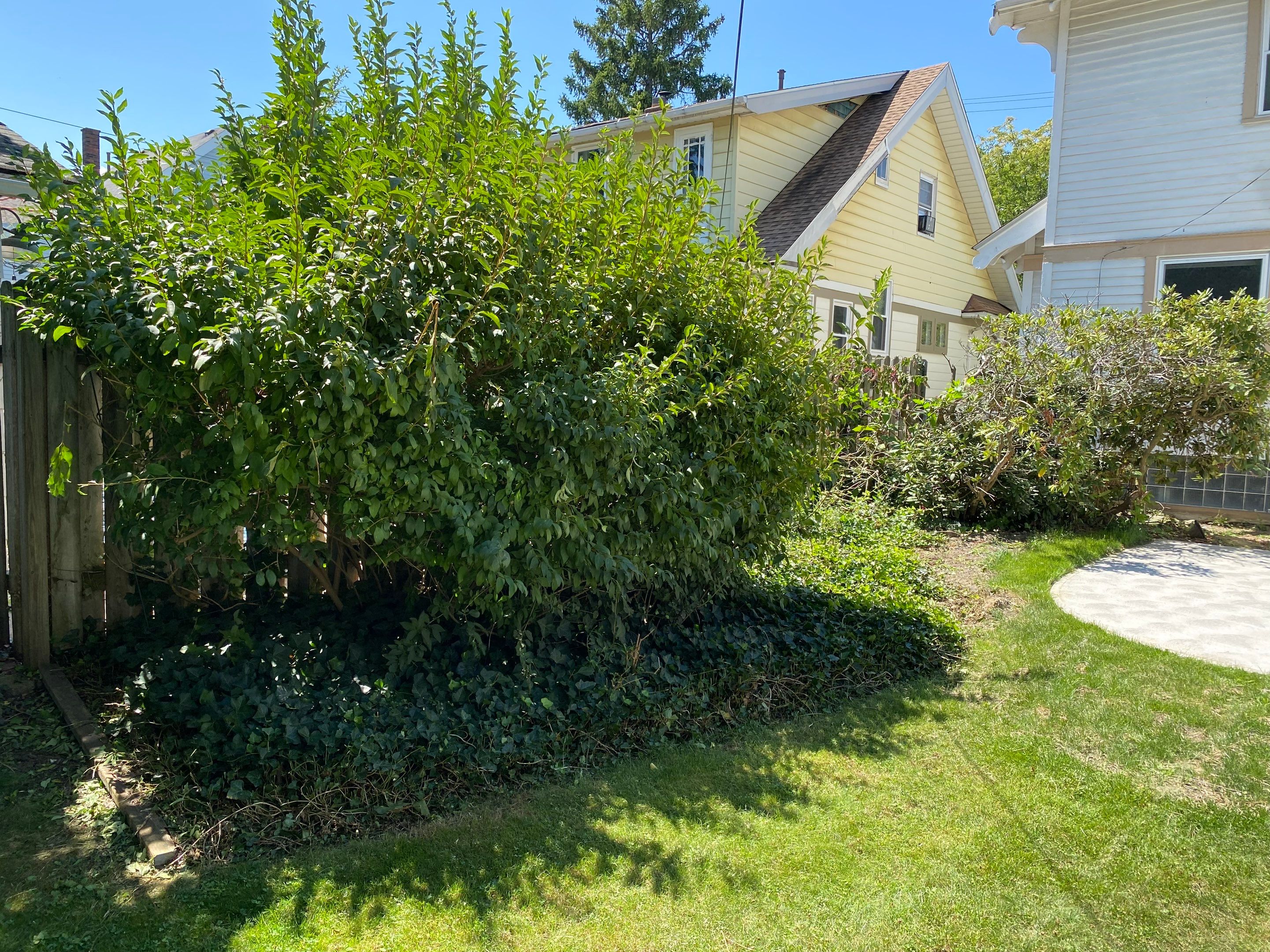 Green Fenceline Install by Elm Rose Gardens