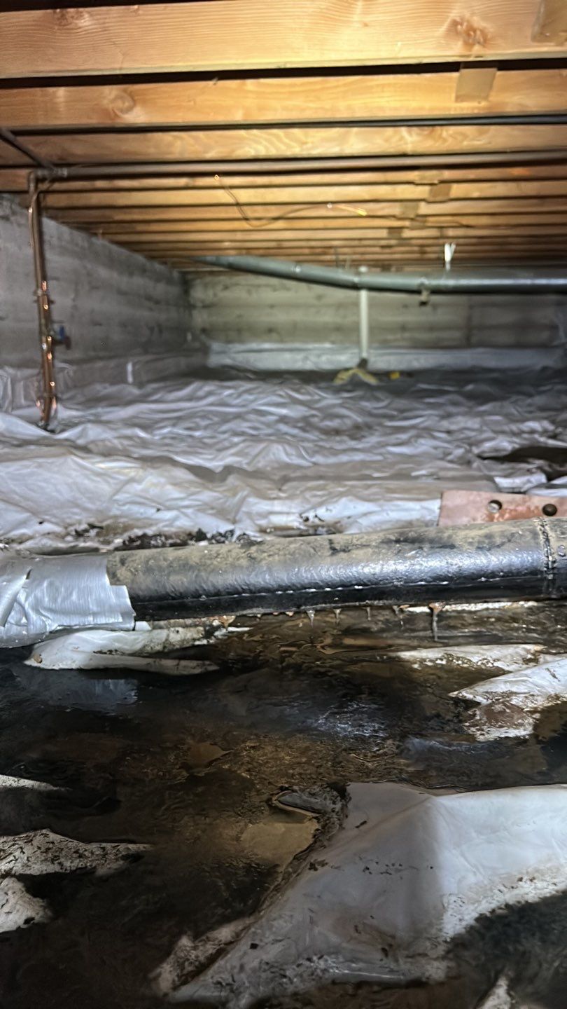 Sewage Backup by Accountable Home Services