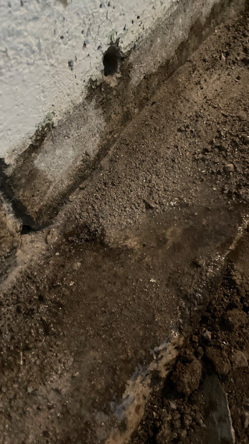Targeted Drain Tile for Annie by Waterproofing Northeast