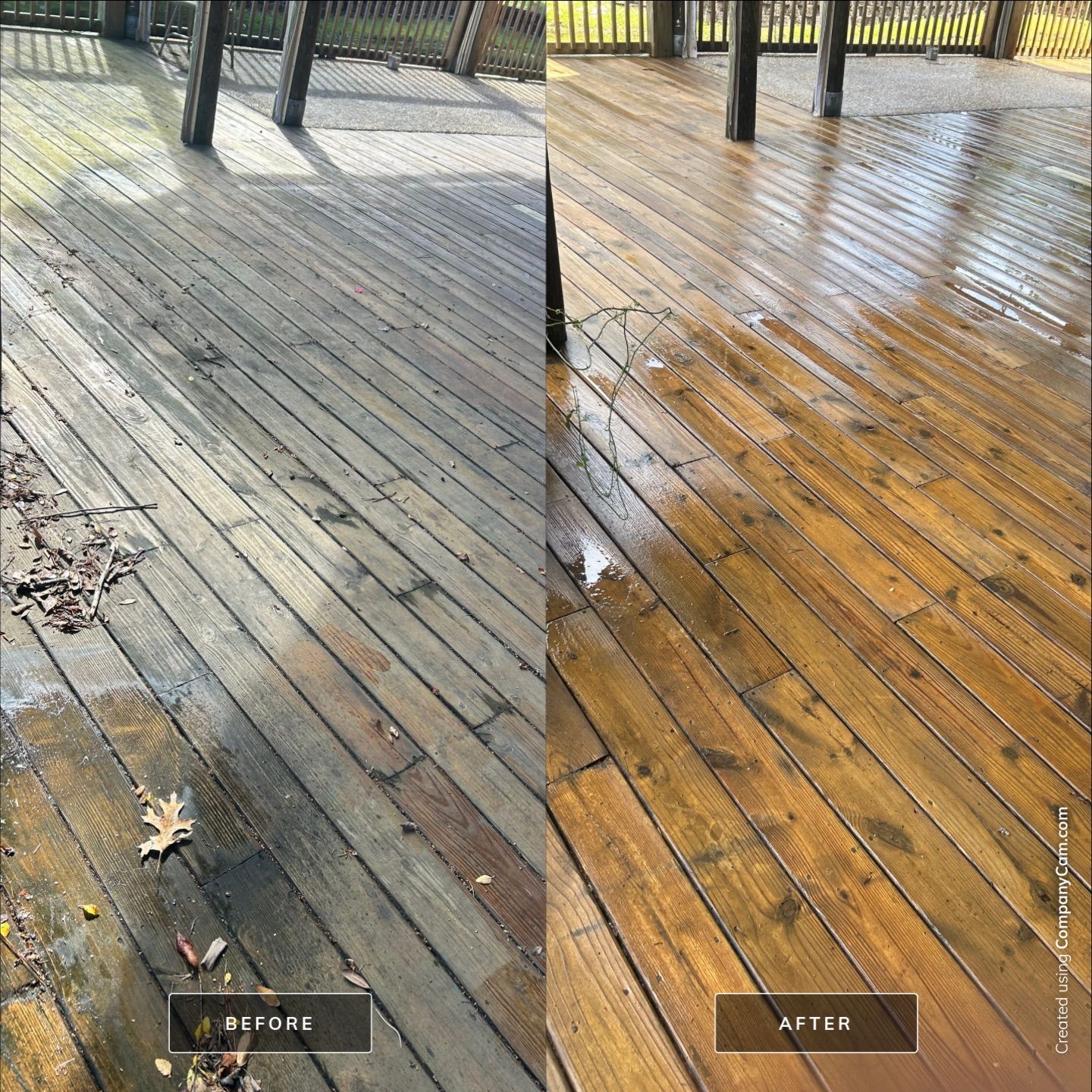 House Washing in Wilmington by Shark Power Washing