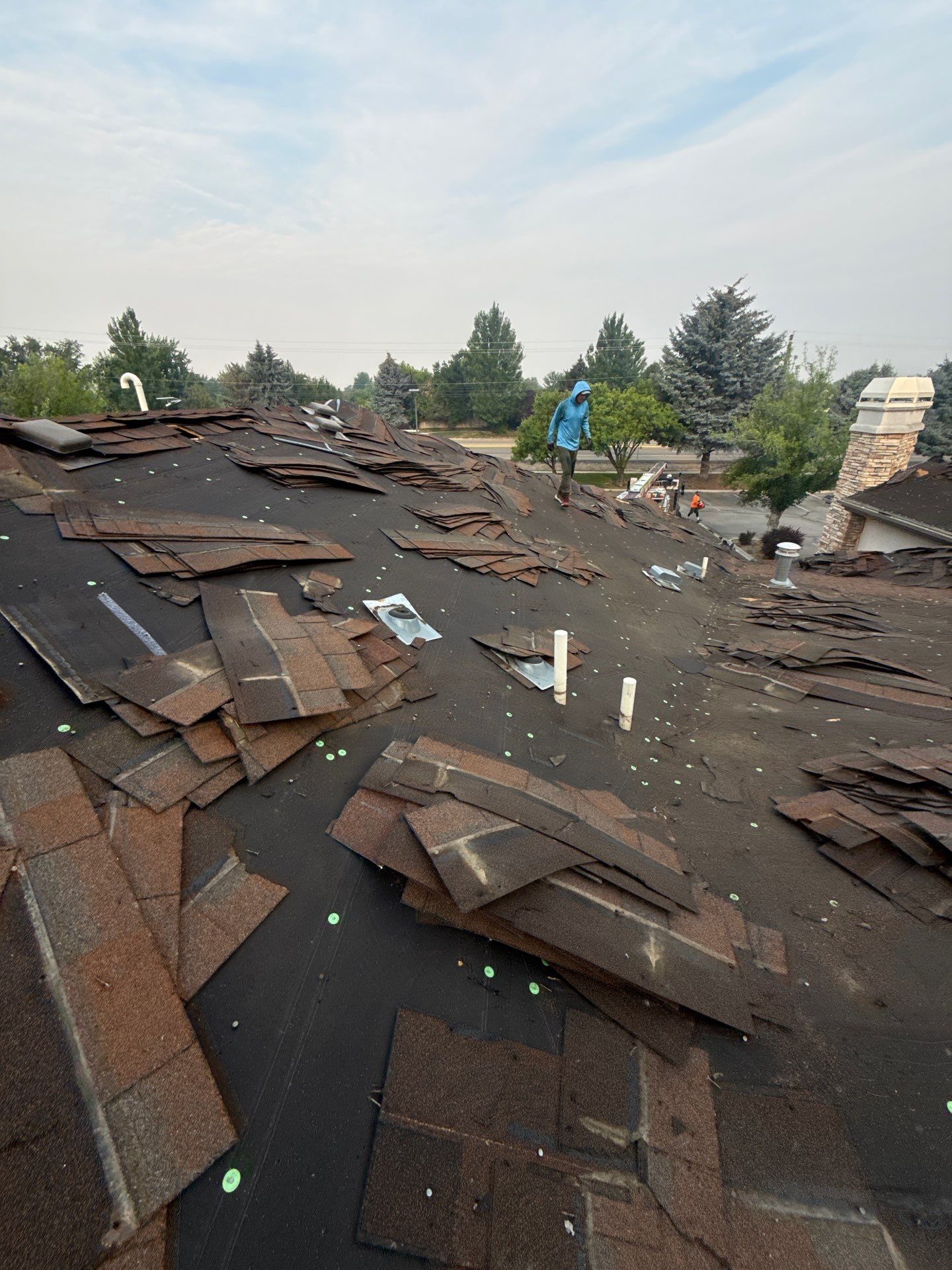 Boise Commercial Roof Replacement with Brown Architectural Shingles by Olive Roofing