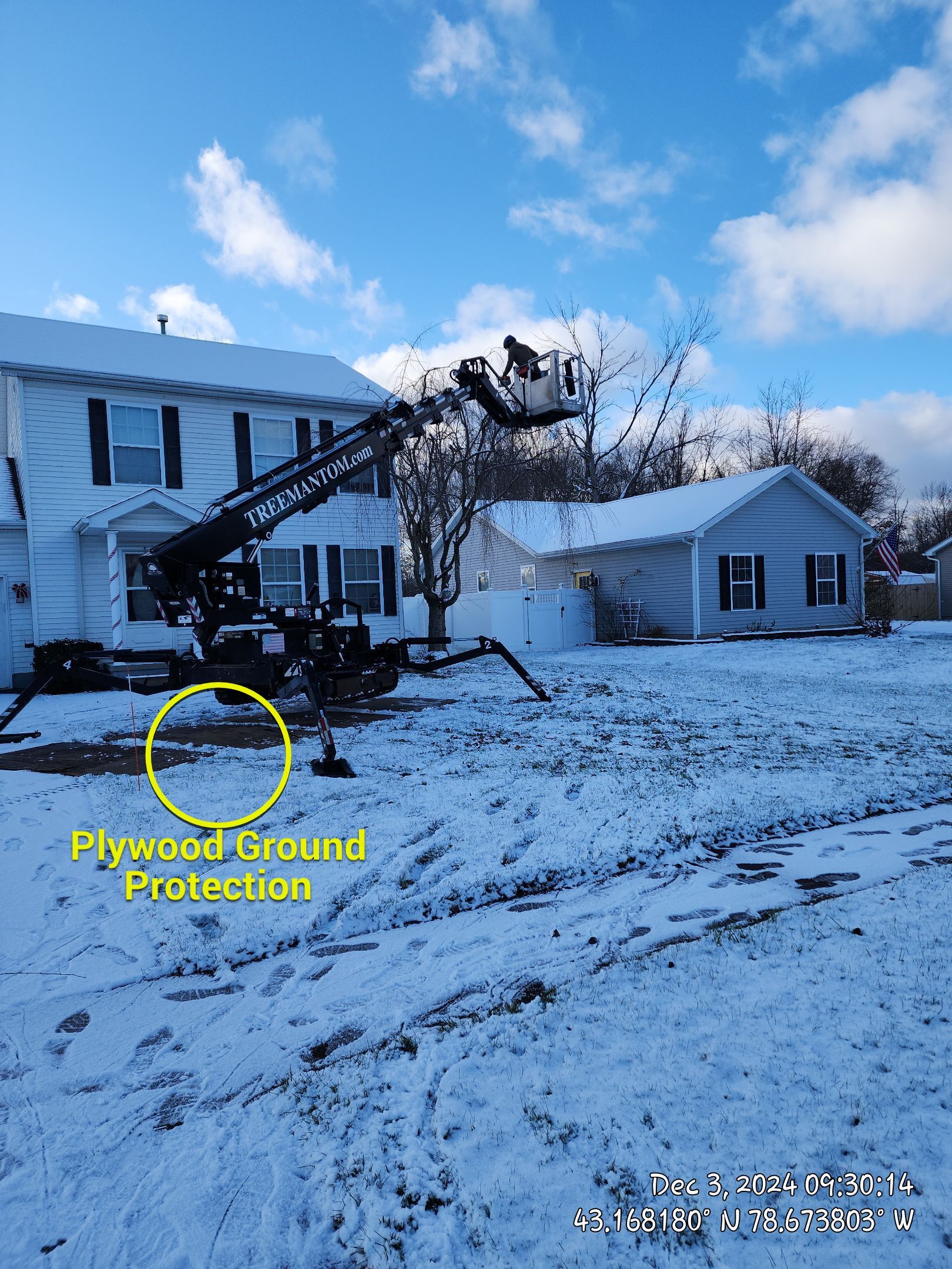 Prune with PHC by Treeman Tom LLC