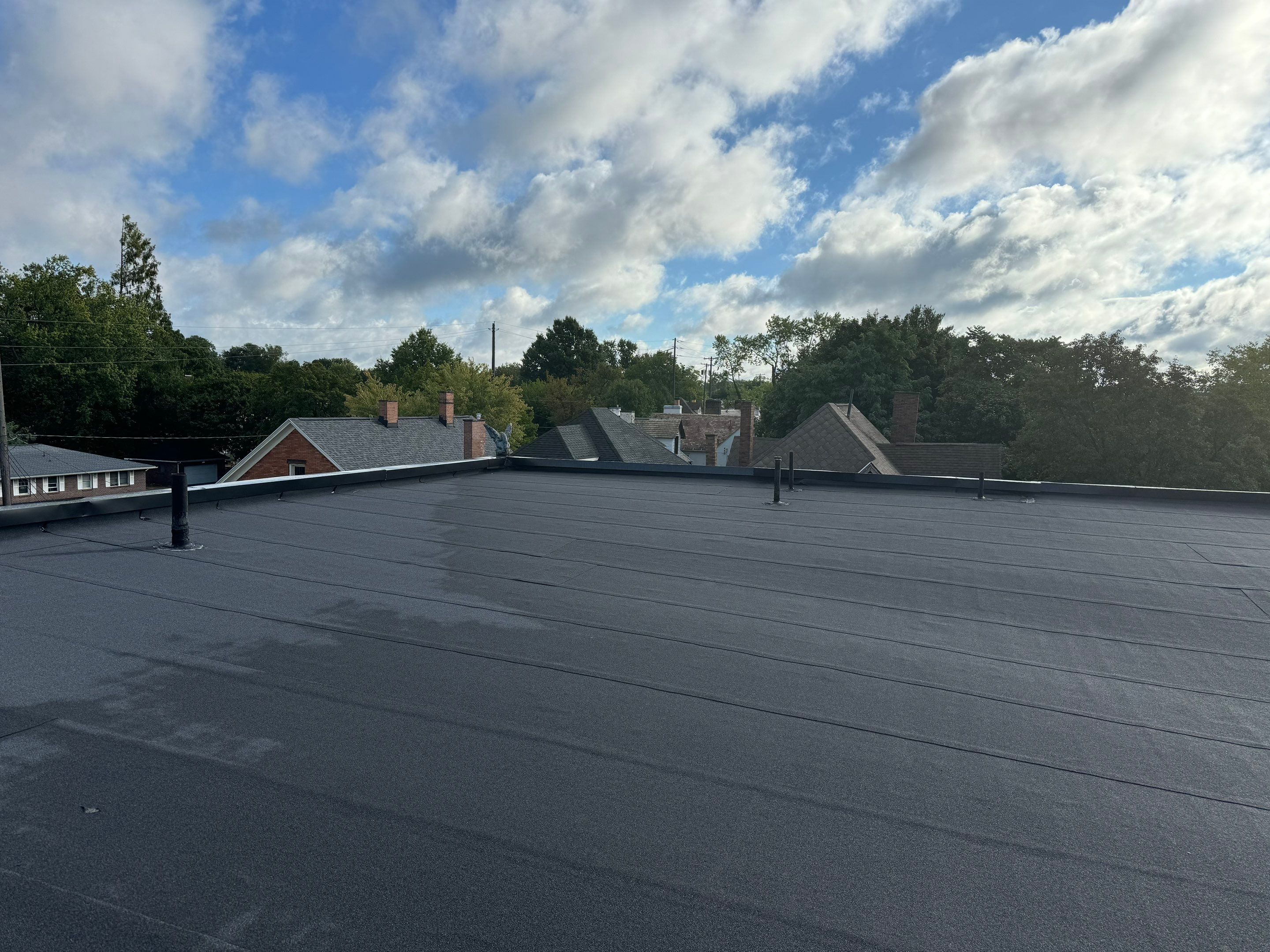 Paul Bille by Silver Leaf Contracting 