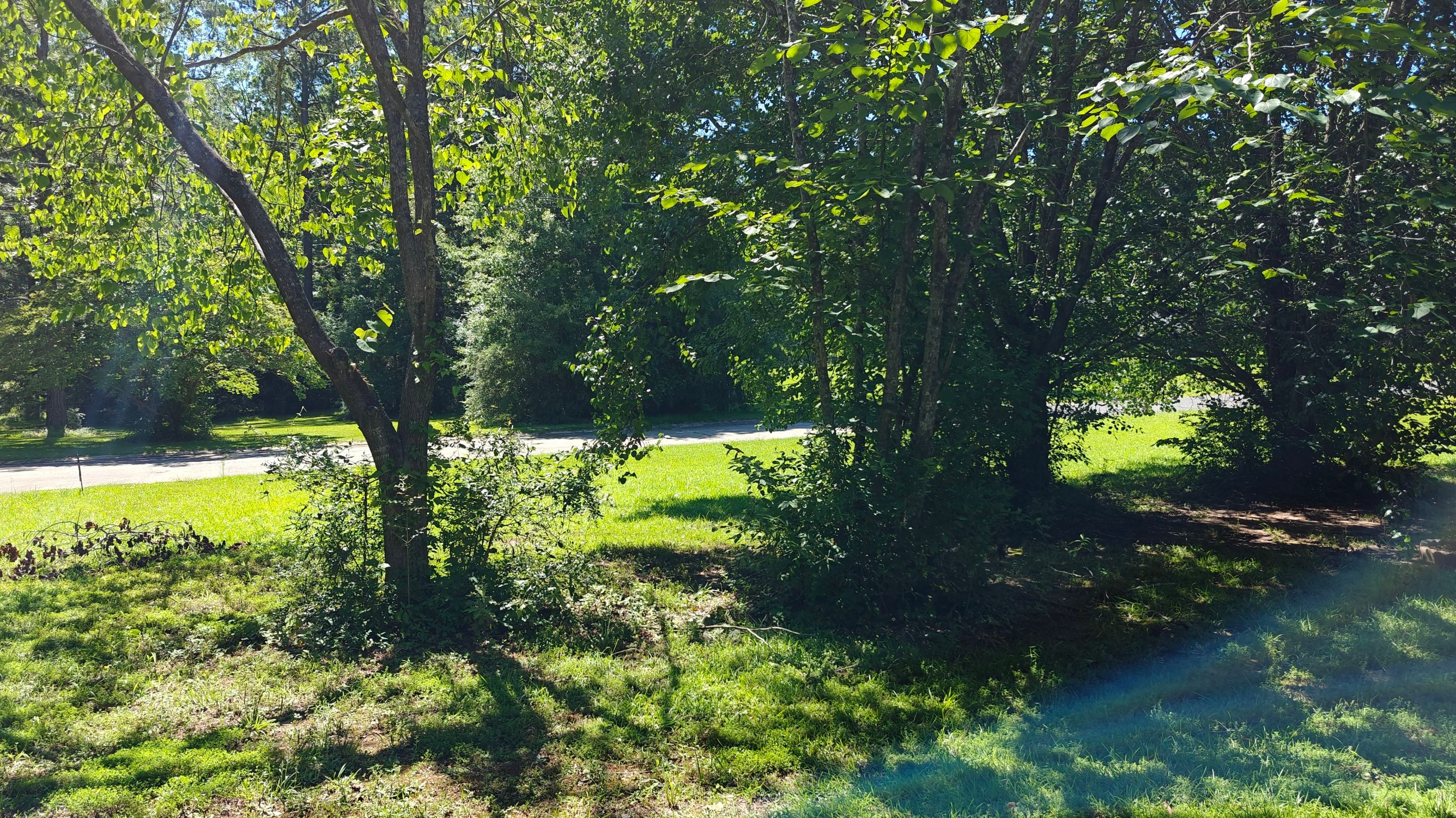 Bi Weekly Landscaping/ Weeding  by College Bros Outdoor services