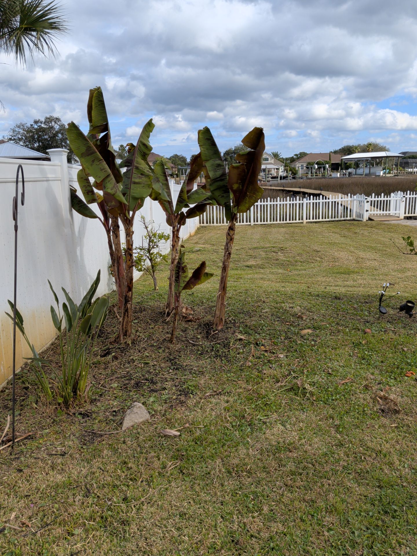 Flower Bed & Property Cleanup San Pablo area — Jacksonville Beaches, FL by Harmoni Home Services
