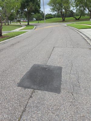 Project in Oldsmar