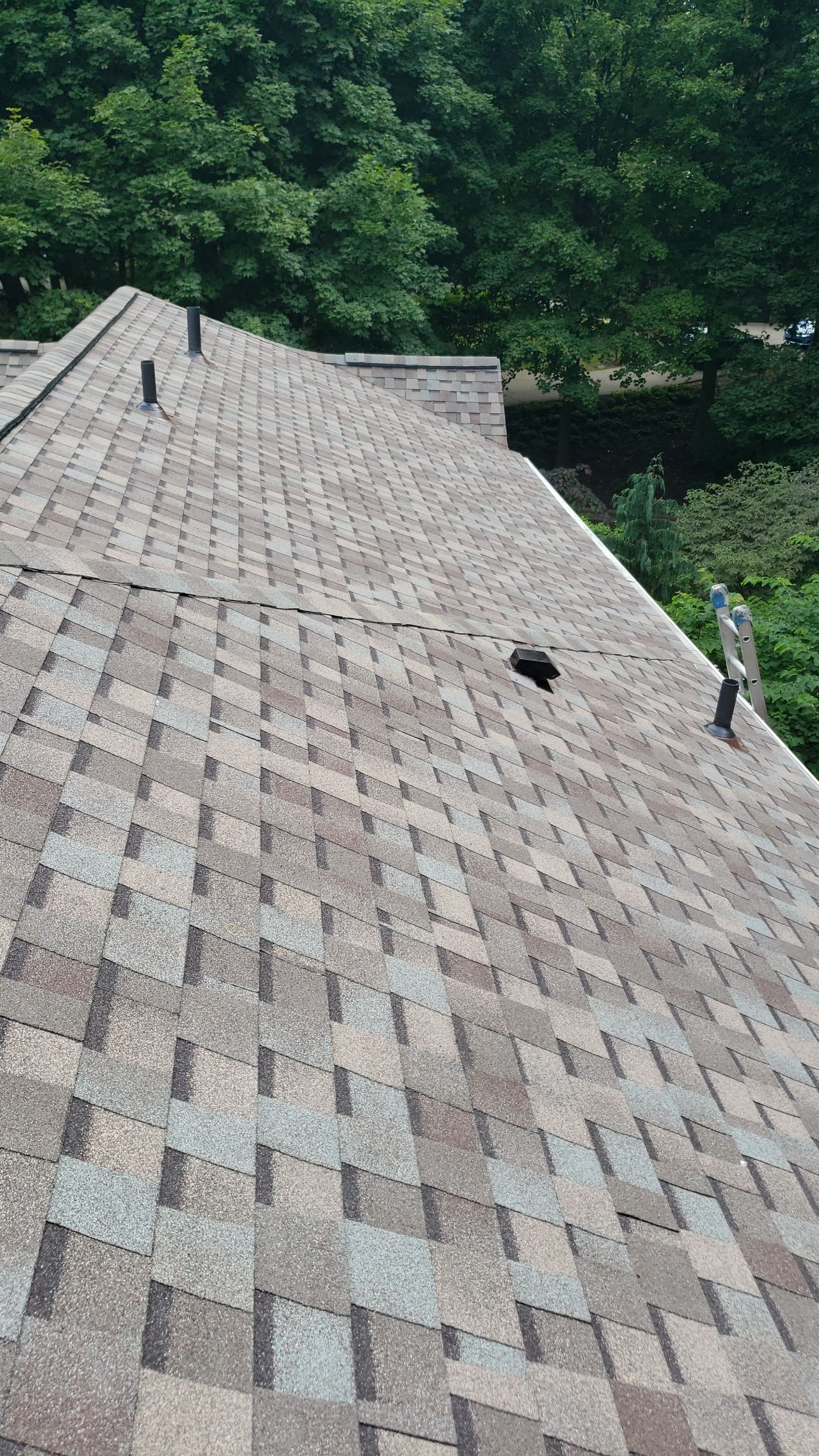 Brand: Atlas Pinnacle Color:  Majestic Shak Drip Edge: White by Eagle Eye Roofing