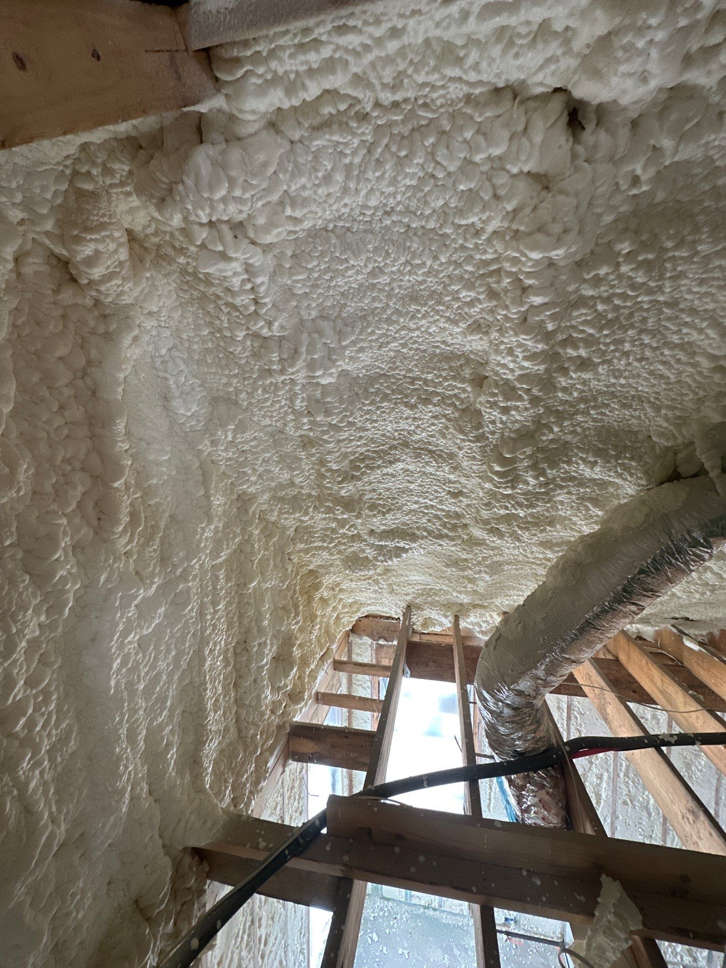 8567 Santa Clara Dallas by Apex Insulation Solutions