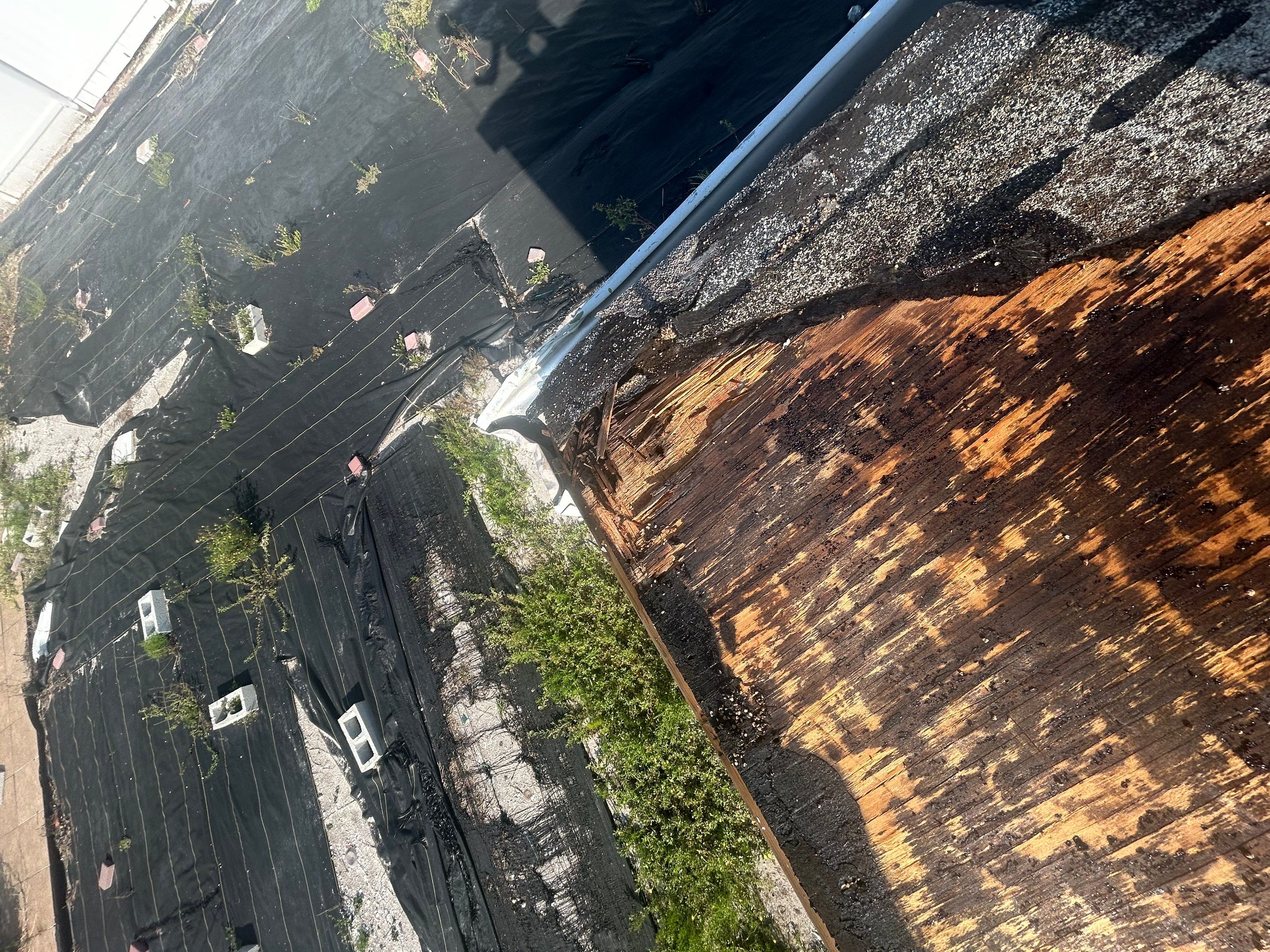 Project in St. Petersburg 33709 by Mitchell Roofing Company LLC 