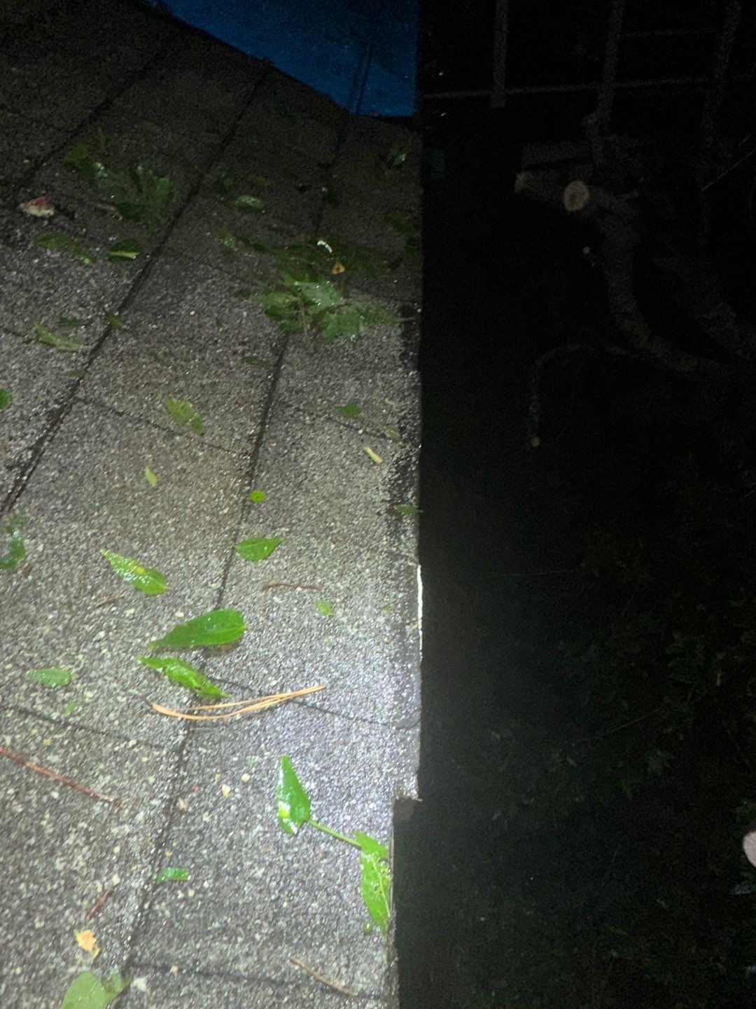 Residential Roofing Repair using Owen's Corning Duration (Lifetime) Shingles by Roof Repair Services LLC