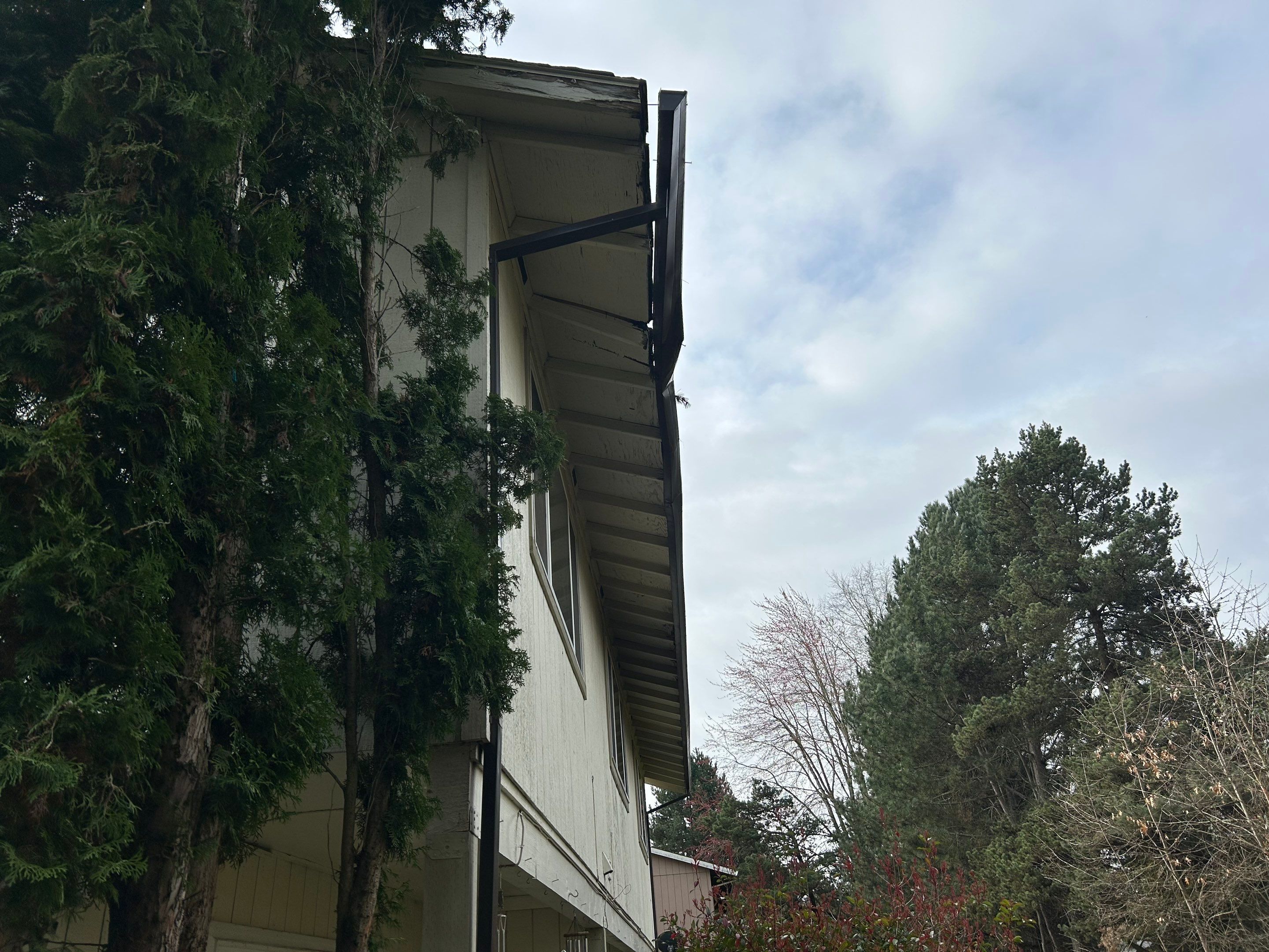 Emergency Leak Repair in Hillsboro by Prodigy Roof Solutions