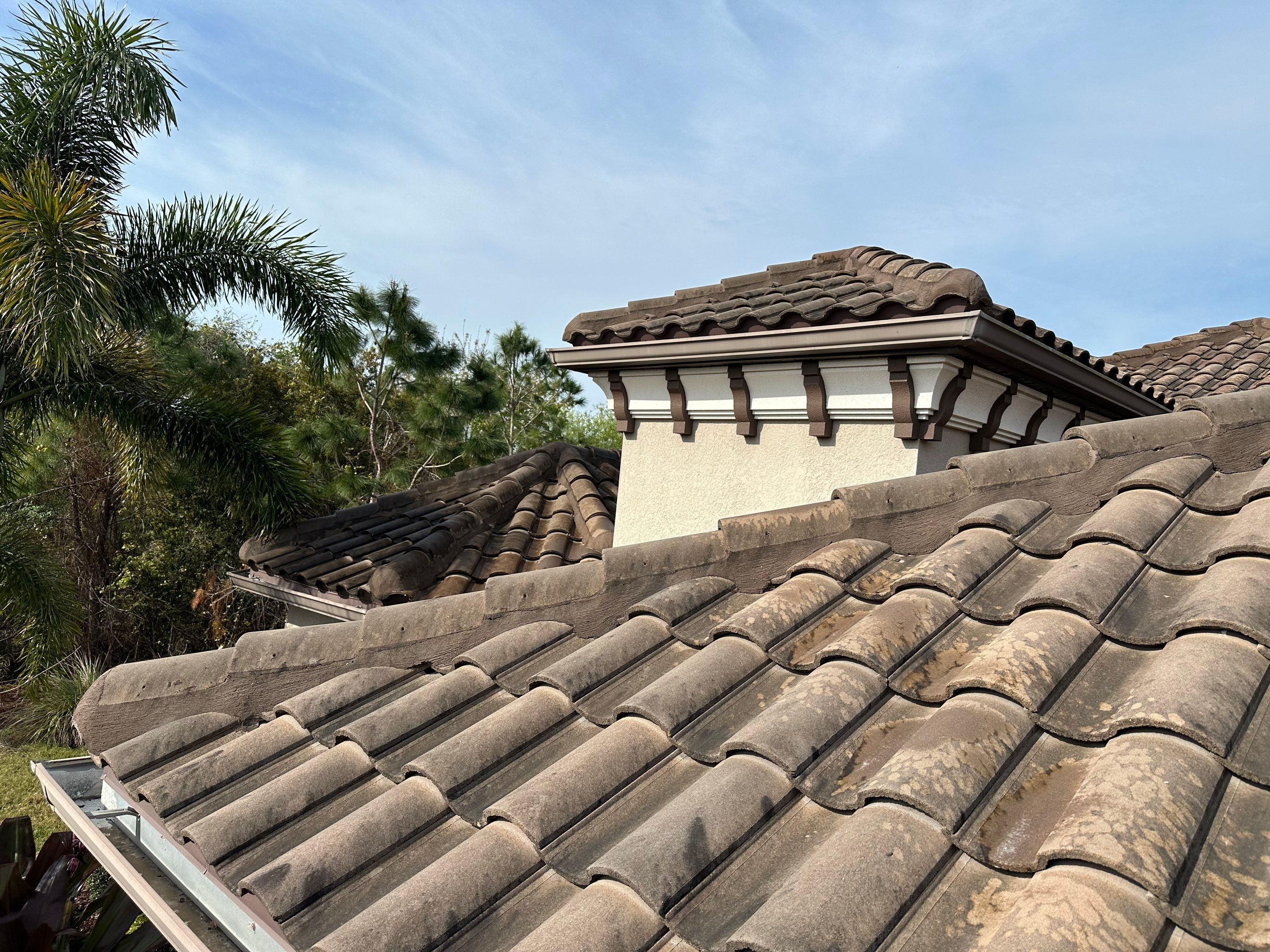 Concrete Tile Roof, Paver Pool Deck, Screen Enclosure & Driveway Cleaning in Artisan Lakes Esplanade, Palmetto, FL | Sunshine AquaWash by Sunshine AquaWash