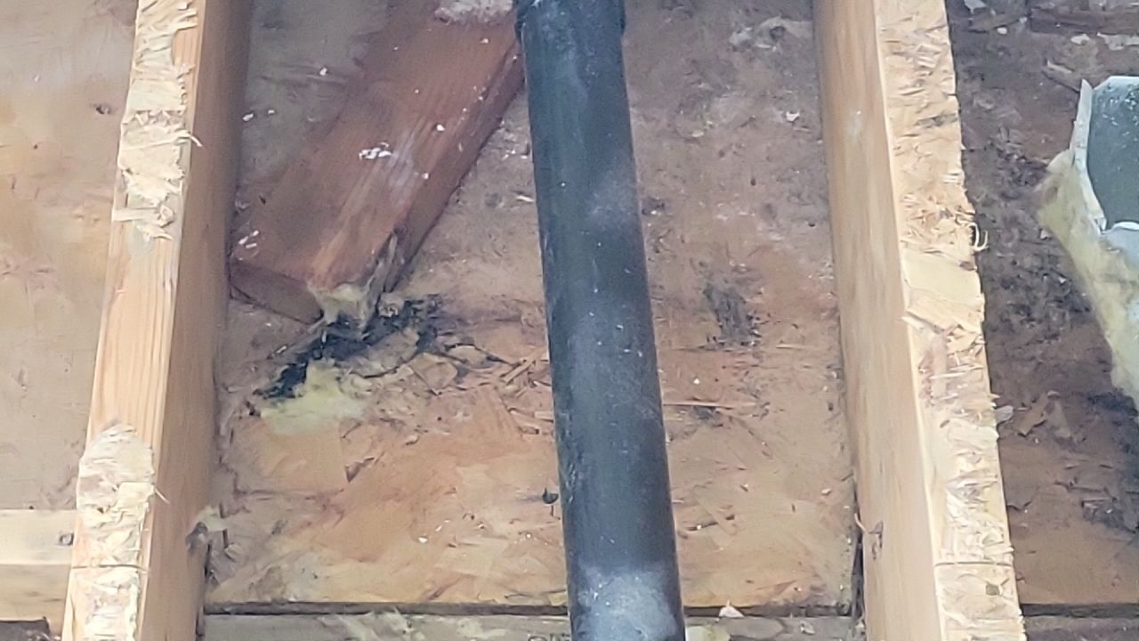 Mold Remediation by Accountable Home Services