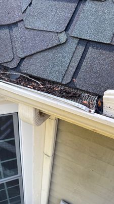 Turtle Shell gutter protection installation in St. Charles, IL 60174, photograph 16