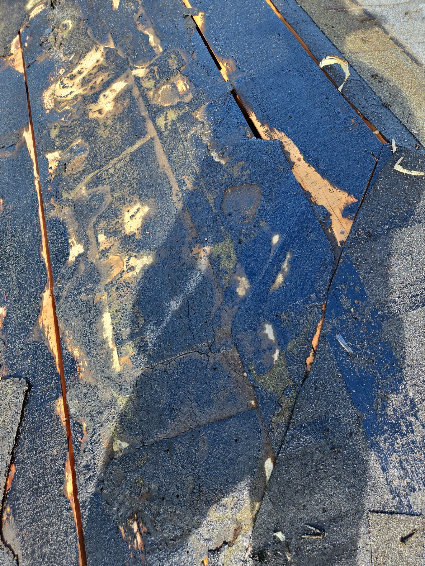 Project in St. Petersburg 33710 by Mitchell Roofing Company LLC 