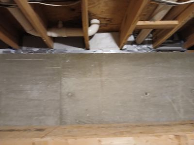 Basement Mold Remediation in Prospect, KY