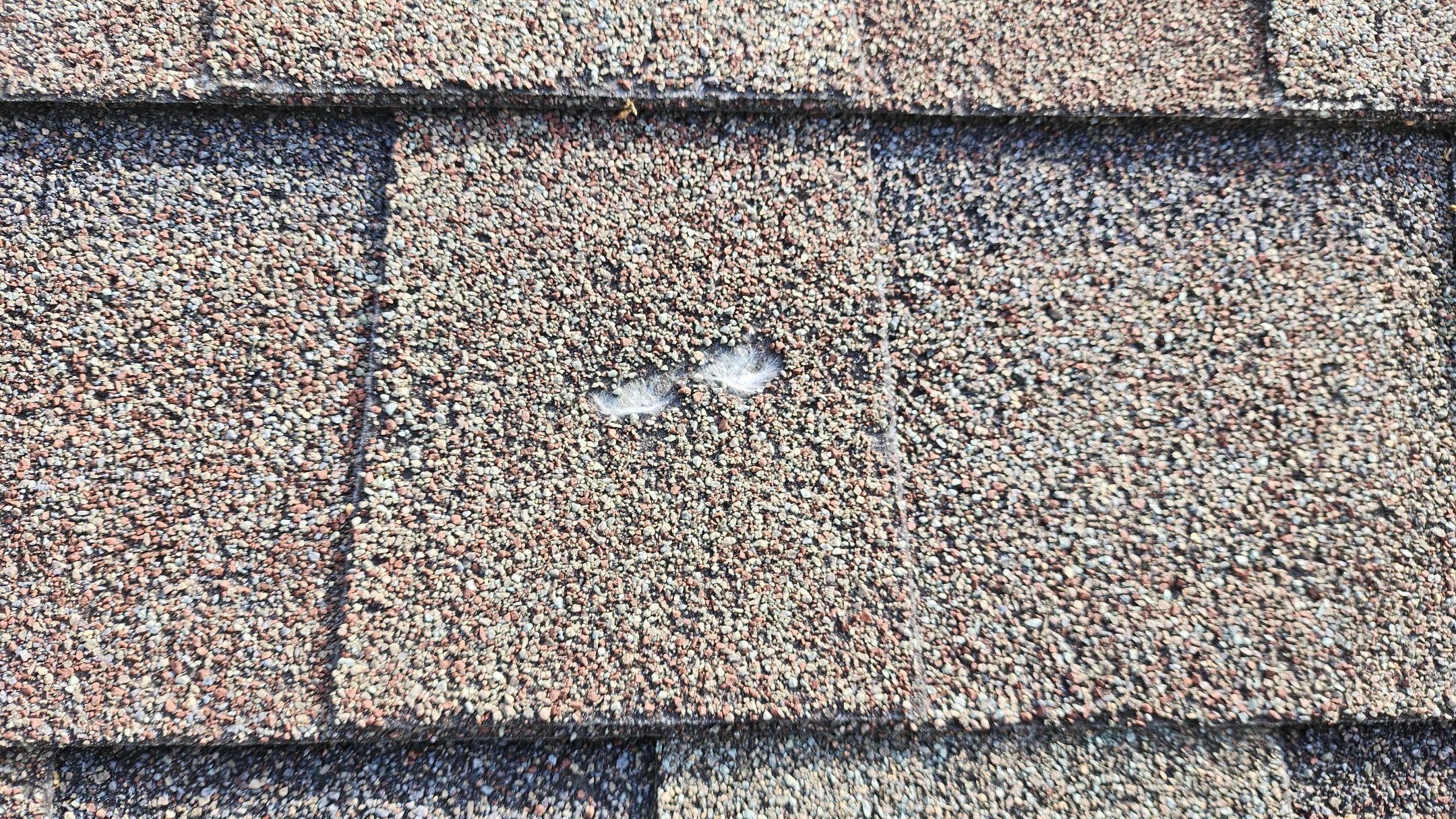 Residential Shingle Reroof using Malarkey Vista by Hostetler Roofing