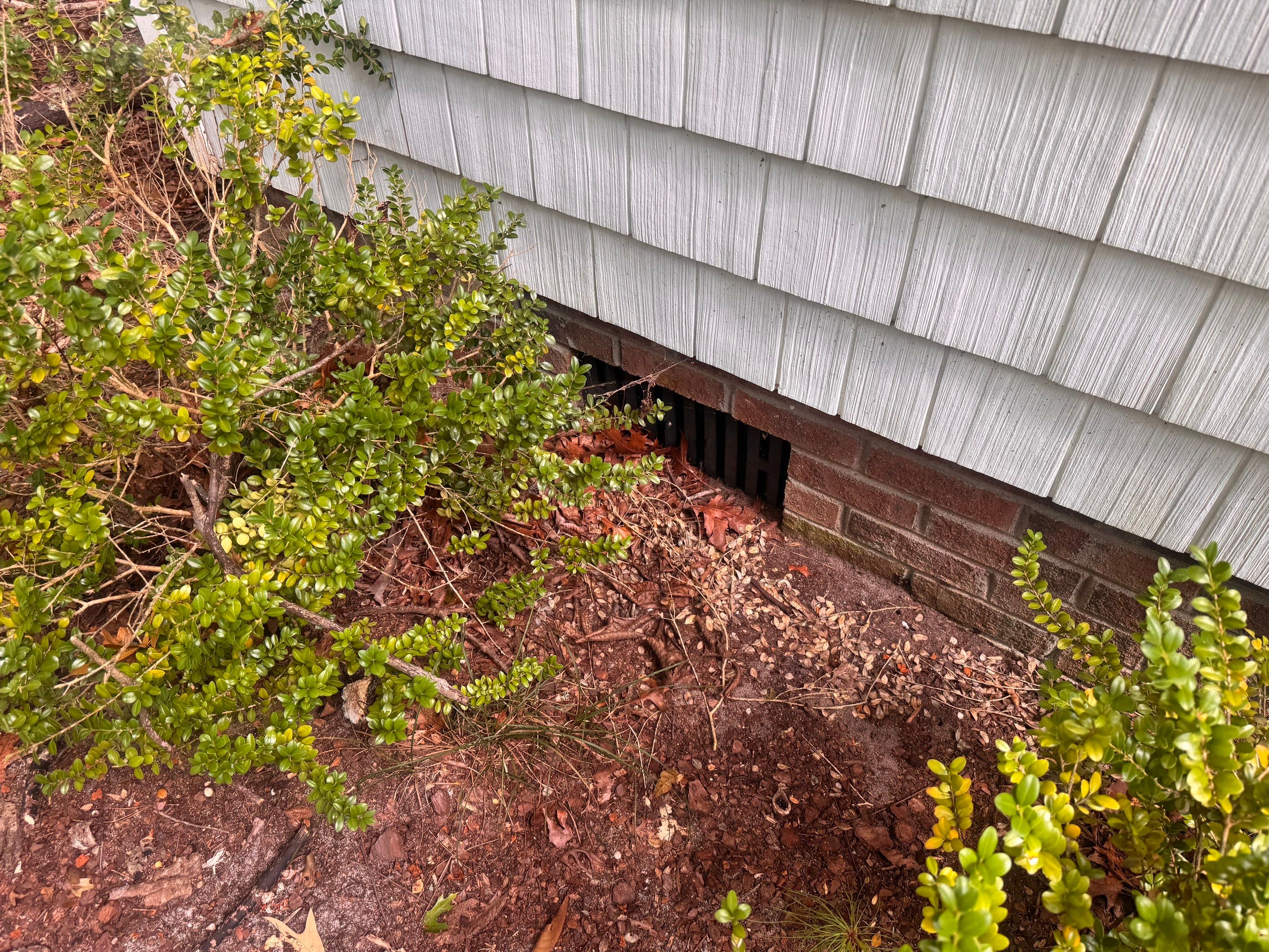 Moisture Barrier, Mold Clean, Structural Repair, Dehumidifier, R19 Insulation. by Impact Crawlspace