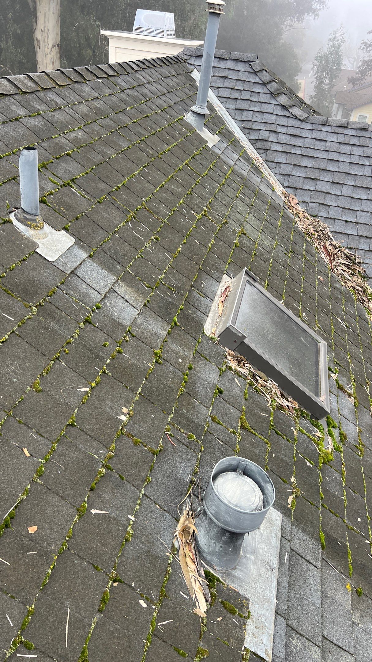 Roof Rejuvenation using Roof Maxx Treatment by Roof Maxx of Folsom