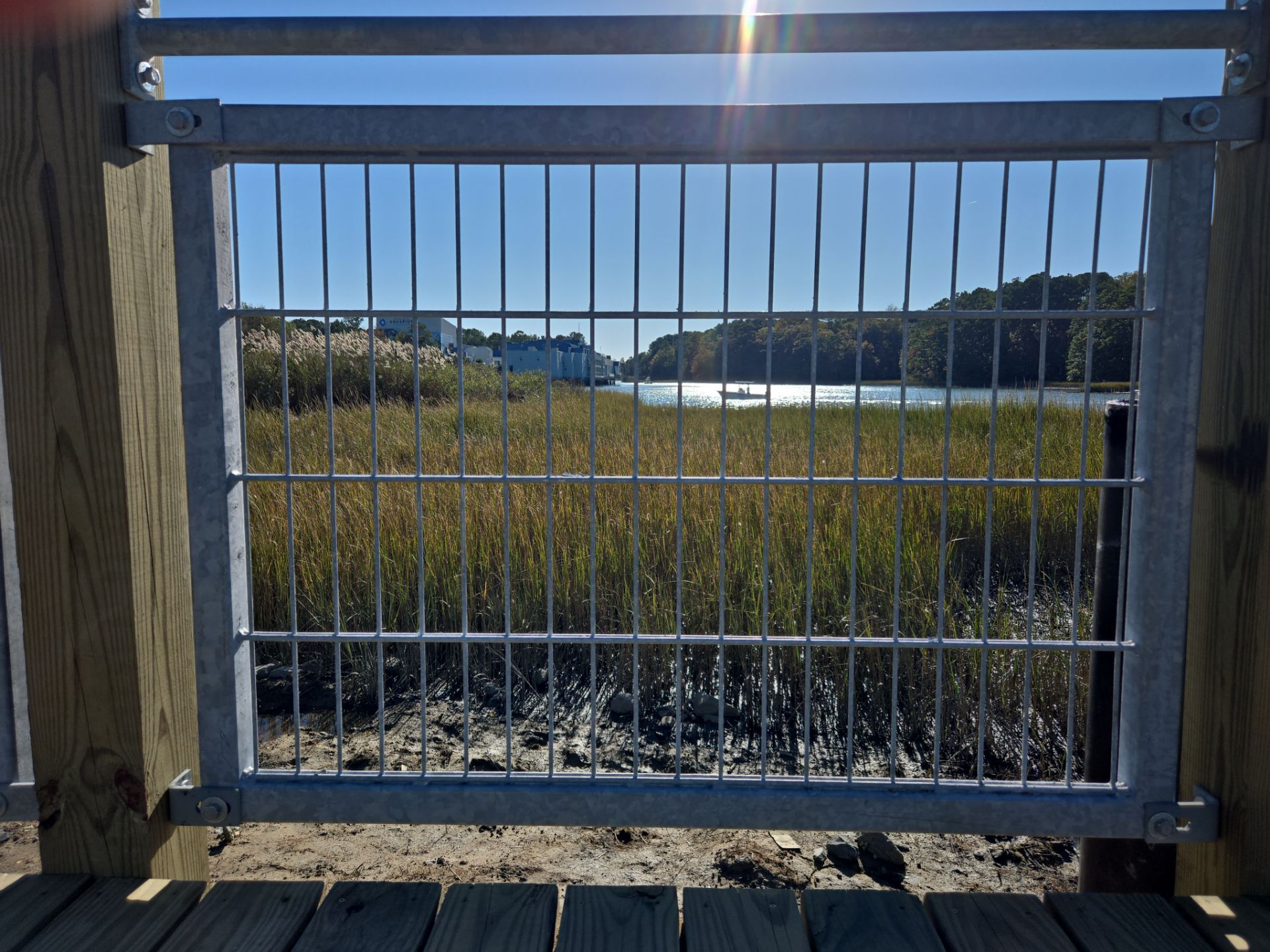 Project in Virginia Beach by Gregory Sandstrom