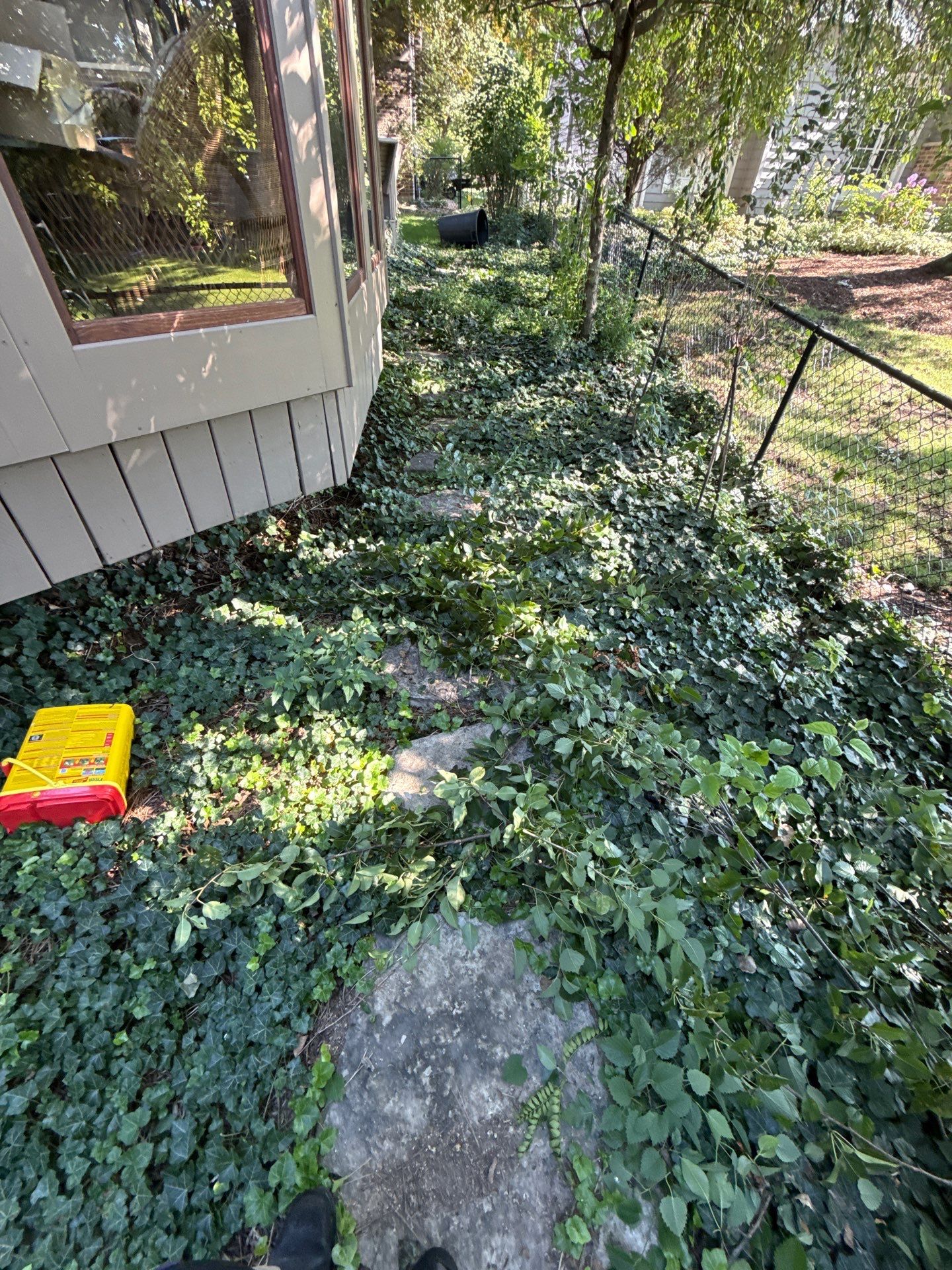 John K. - Arlington Heights, IL by A&N 