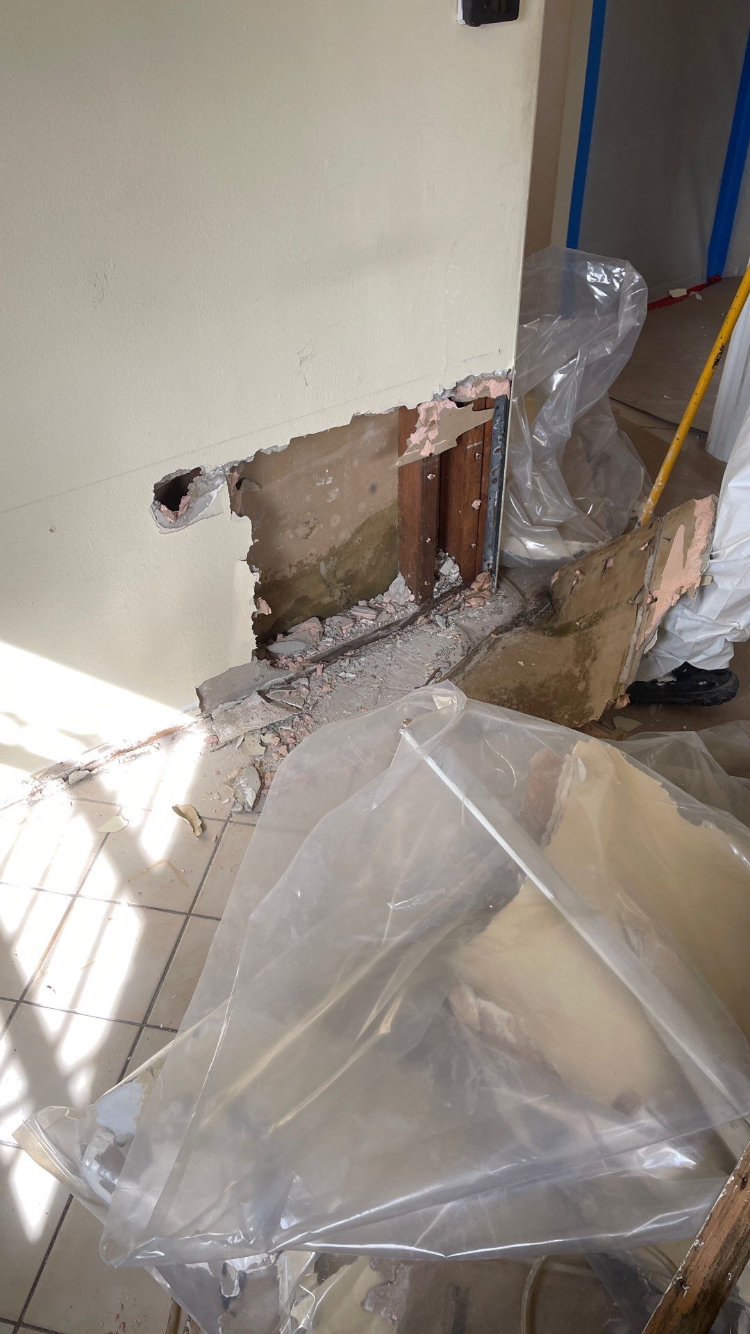 Mold Remediation  by THE RAPID TEAM