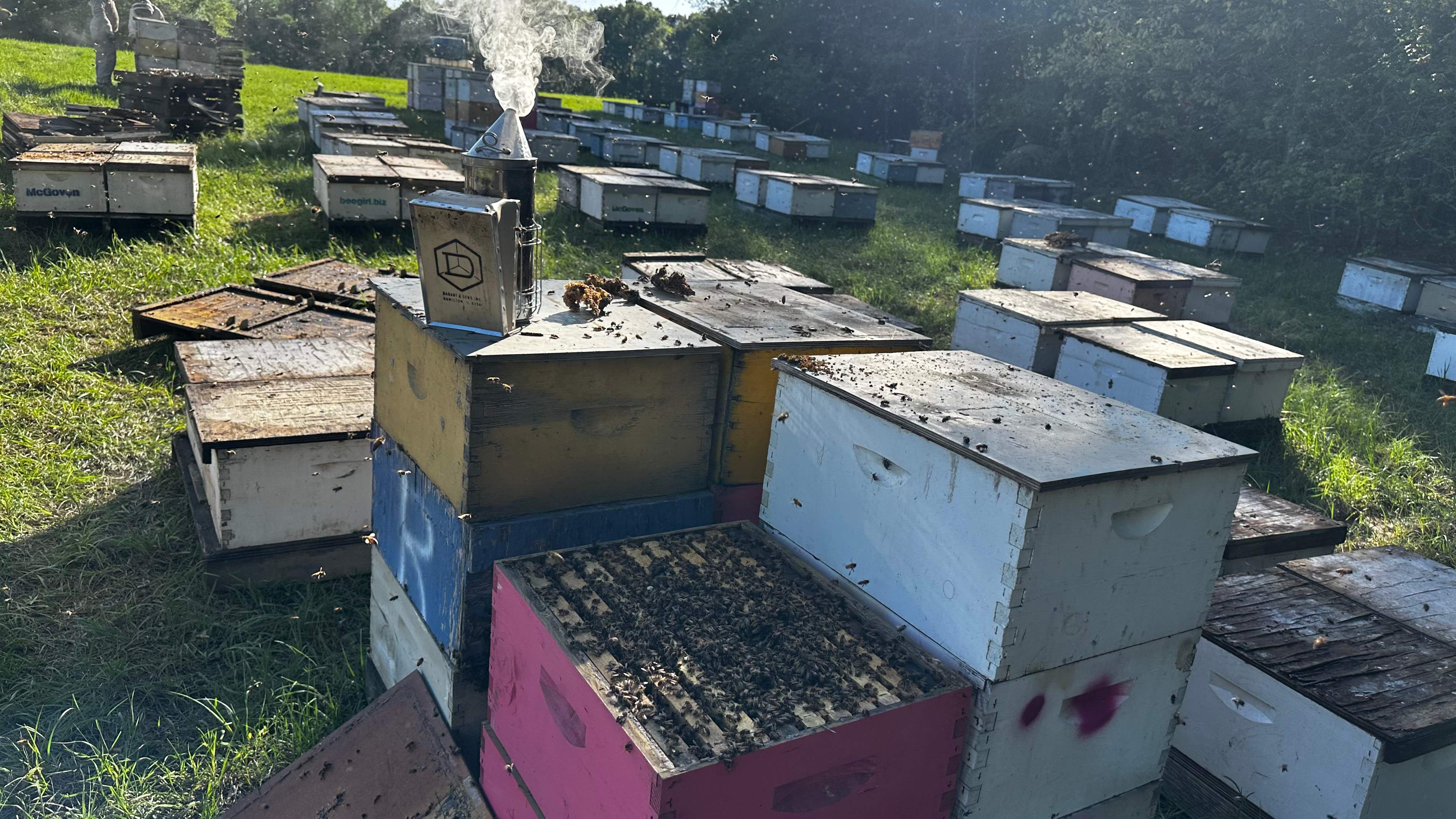 Traylor's Hay Meadow Apiary by Rockwall Honey Bee Company
